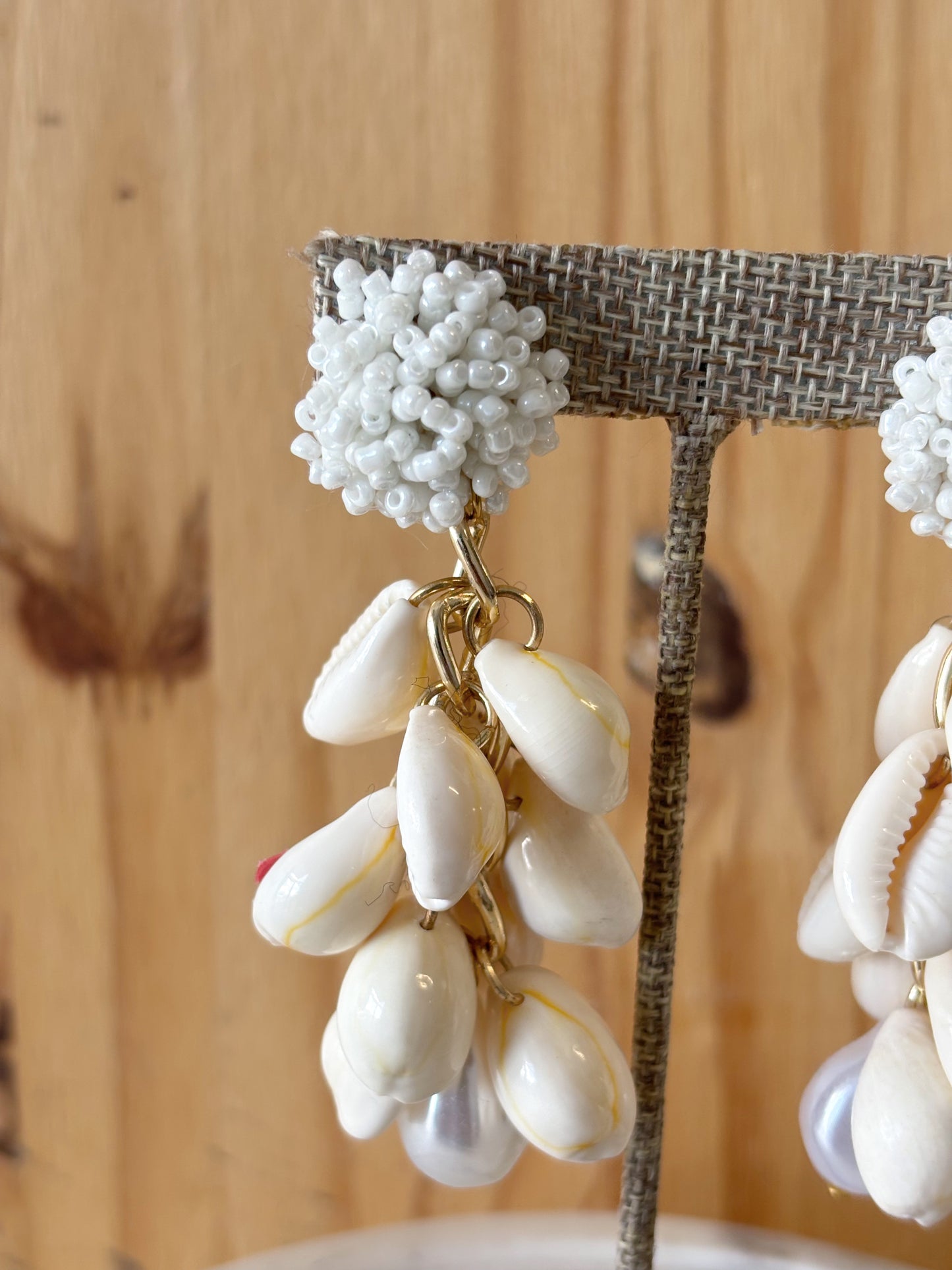 Shell Earrings