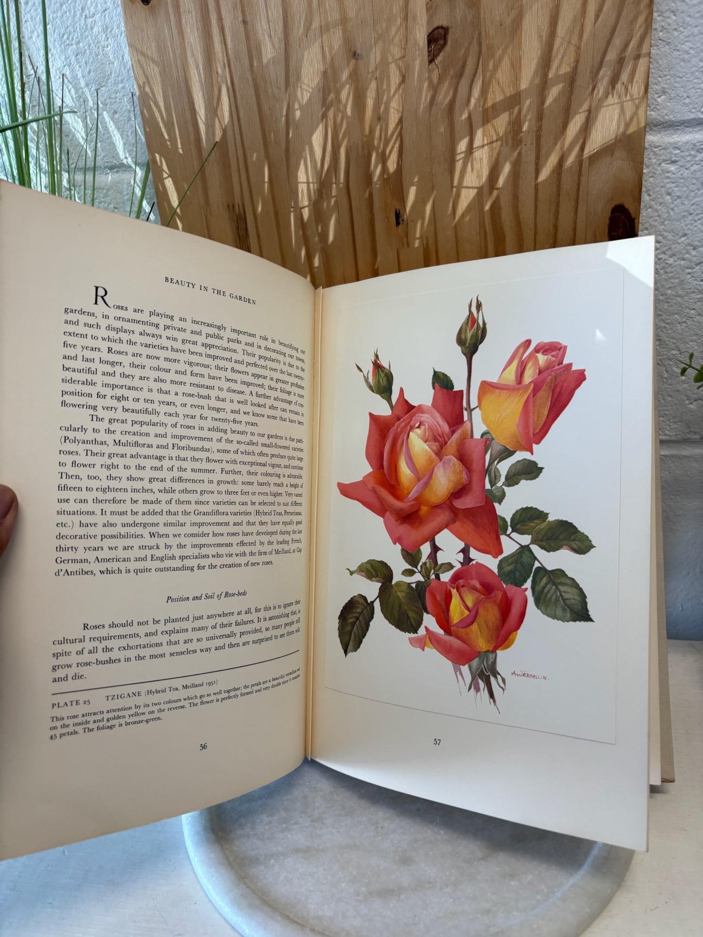 Beautiful Vtg Roses Coffee Table Book