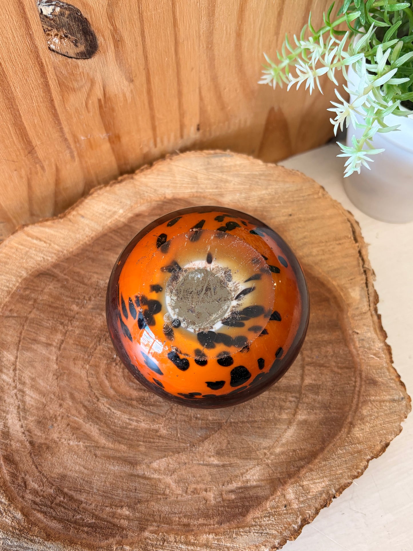 Glass Dome Paperweight (Local Pick Up Only)