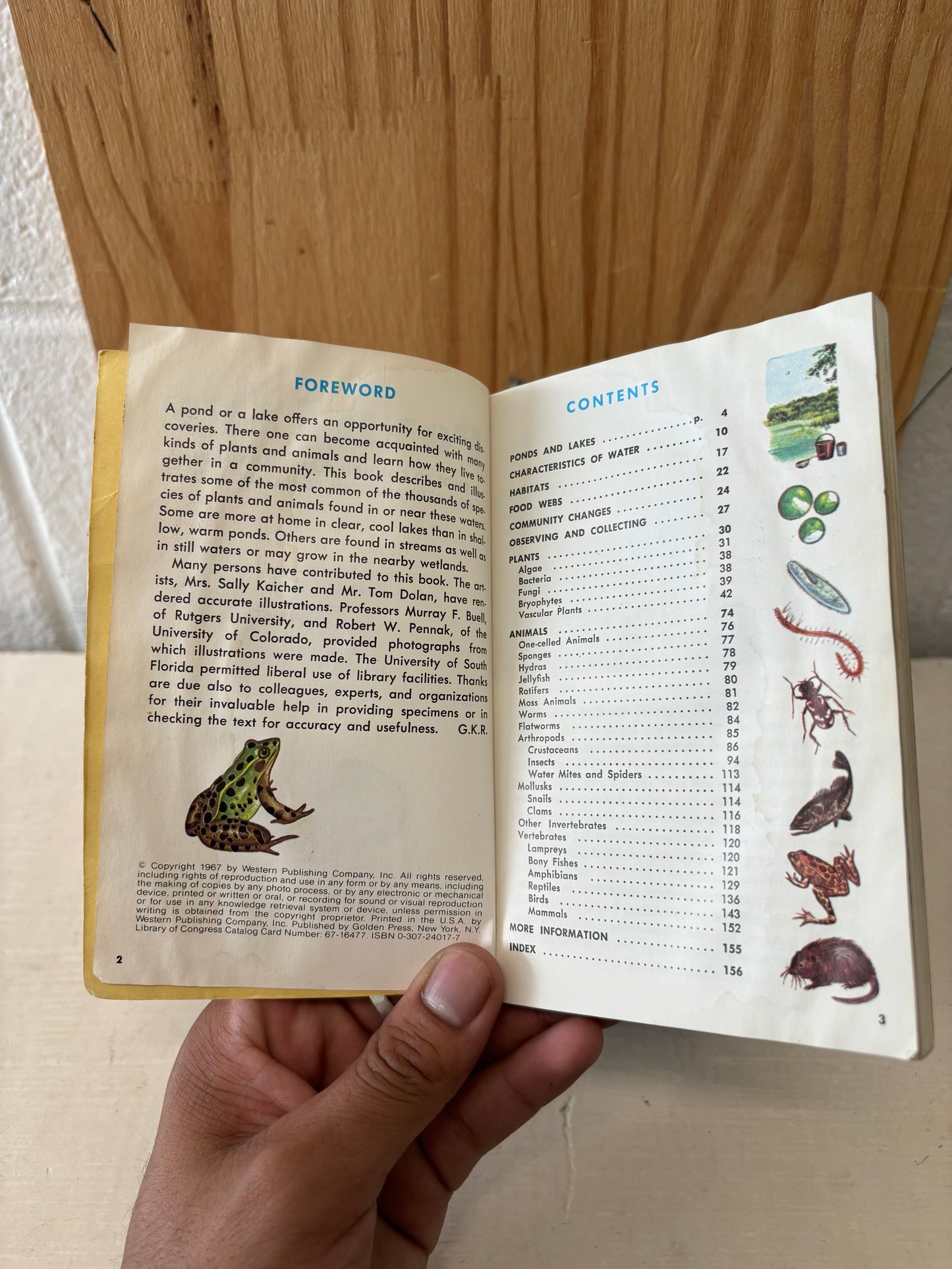 Pond Life Book