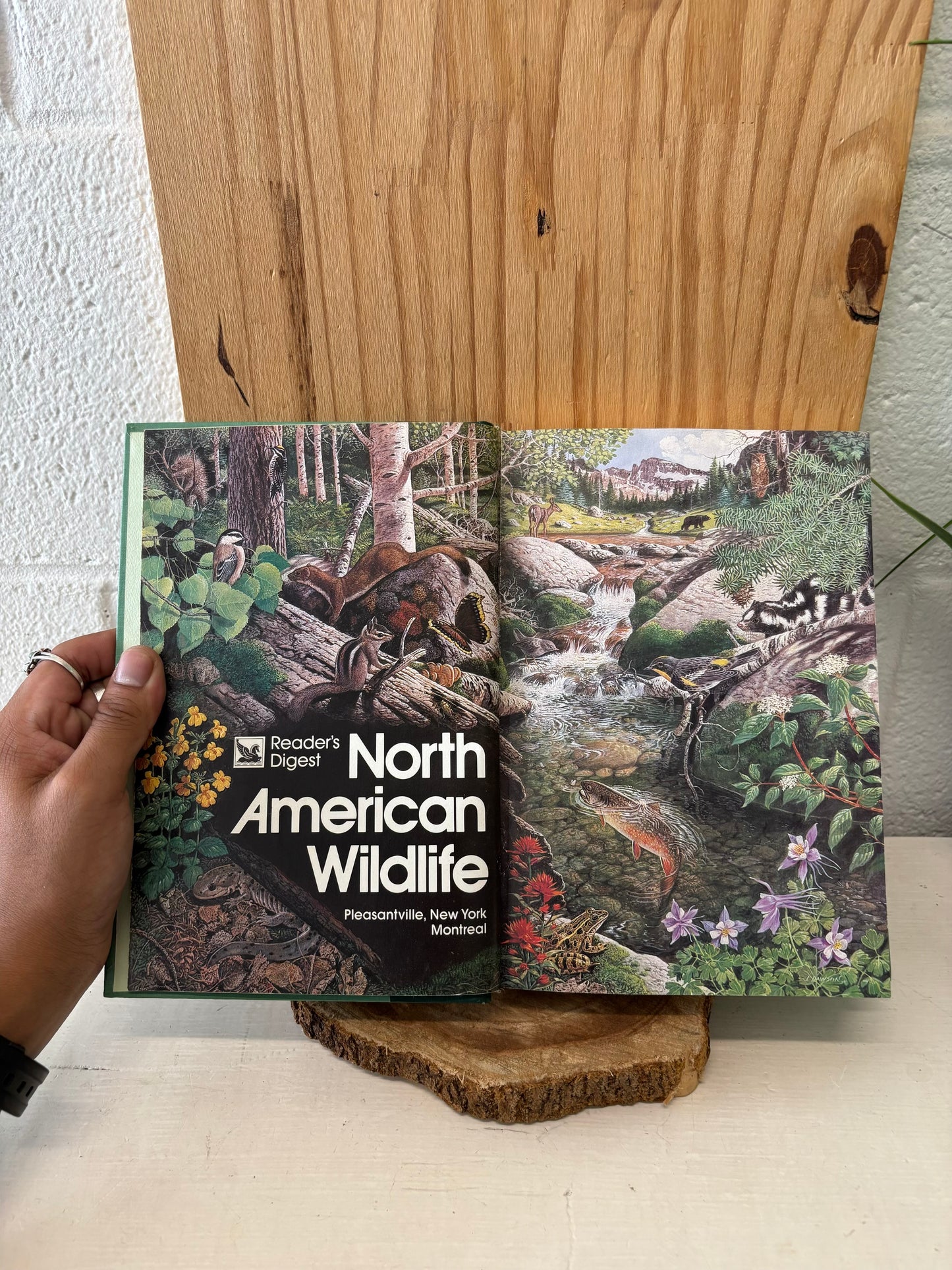 ‘82 Reader’s Digest North American Wildlife