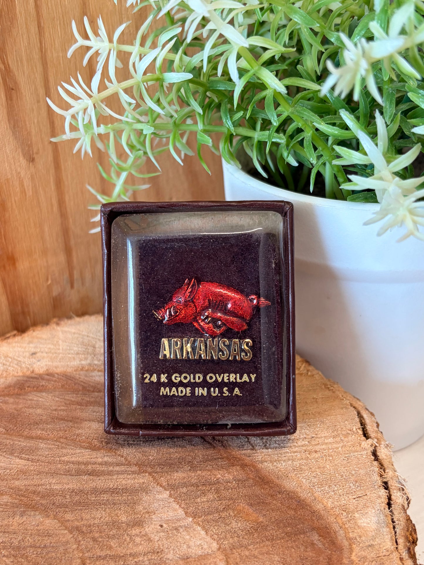 Vtg Arkansas Razorbacks Pin