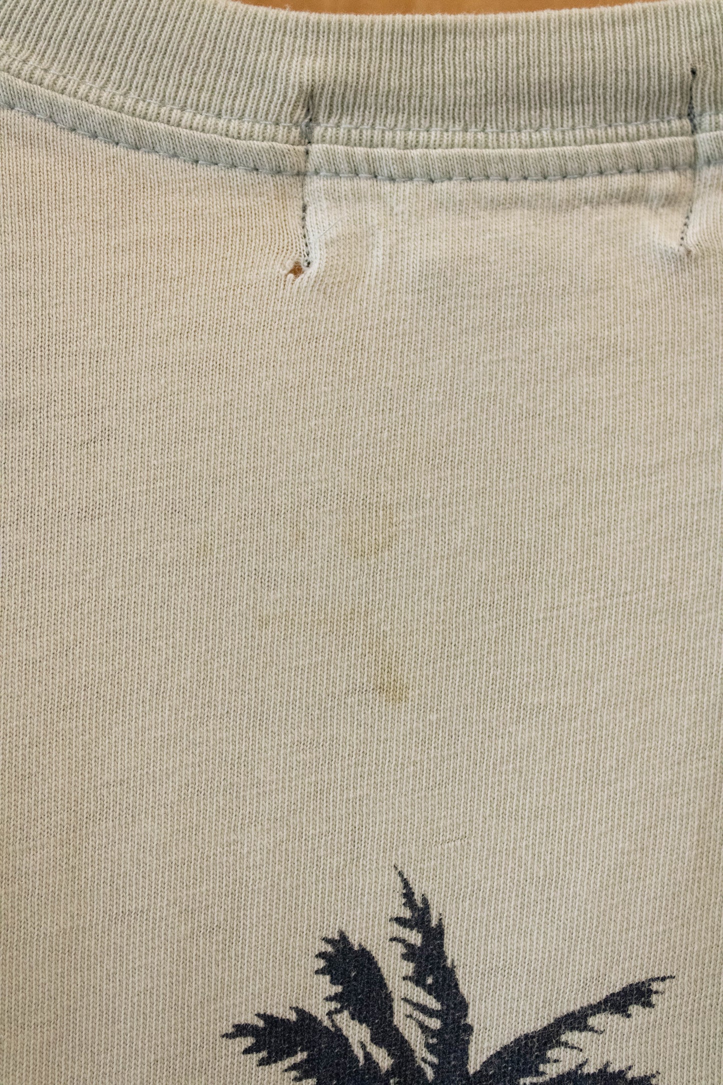 Mint Eddie Bauer Tee : L