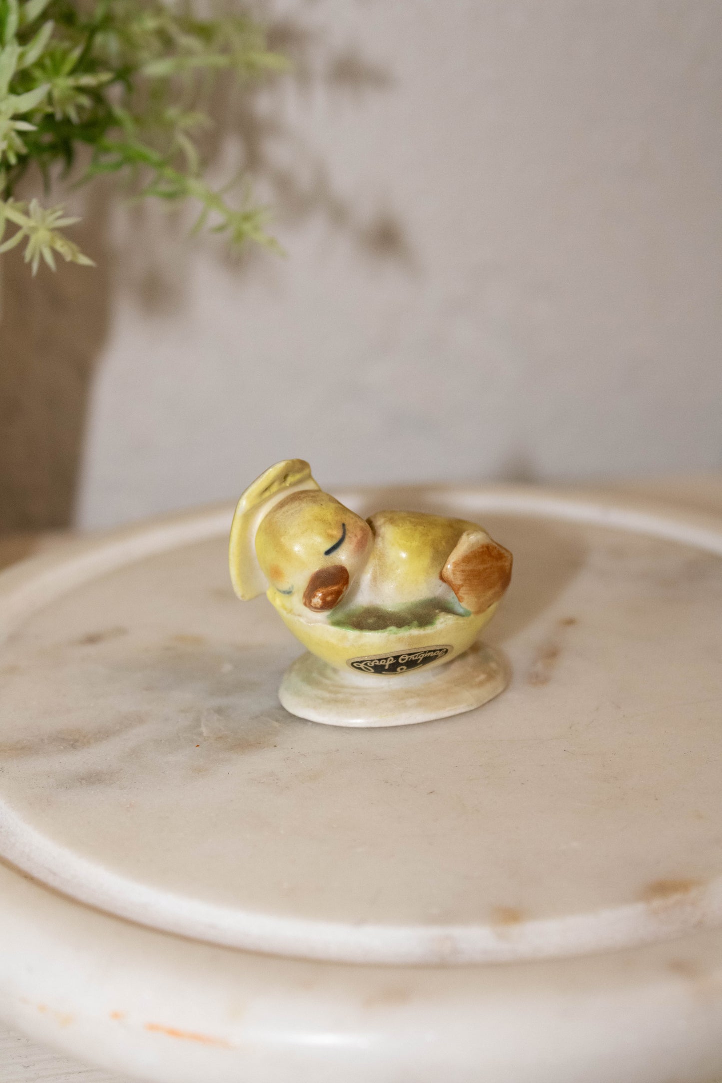 Mini Sleeping Duck