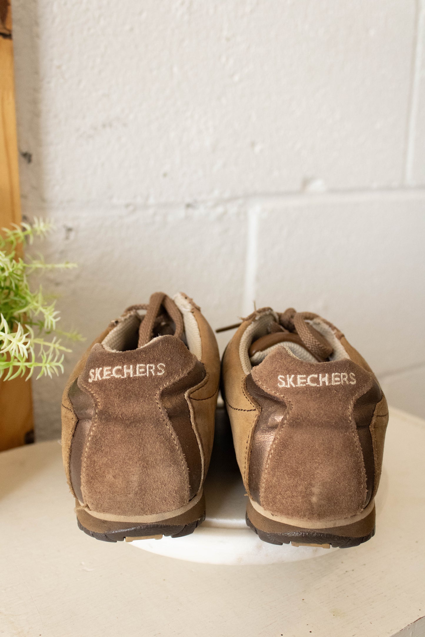 Brown Skechers Sneakers : 6