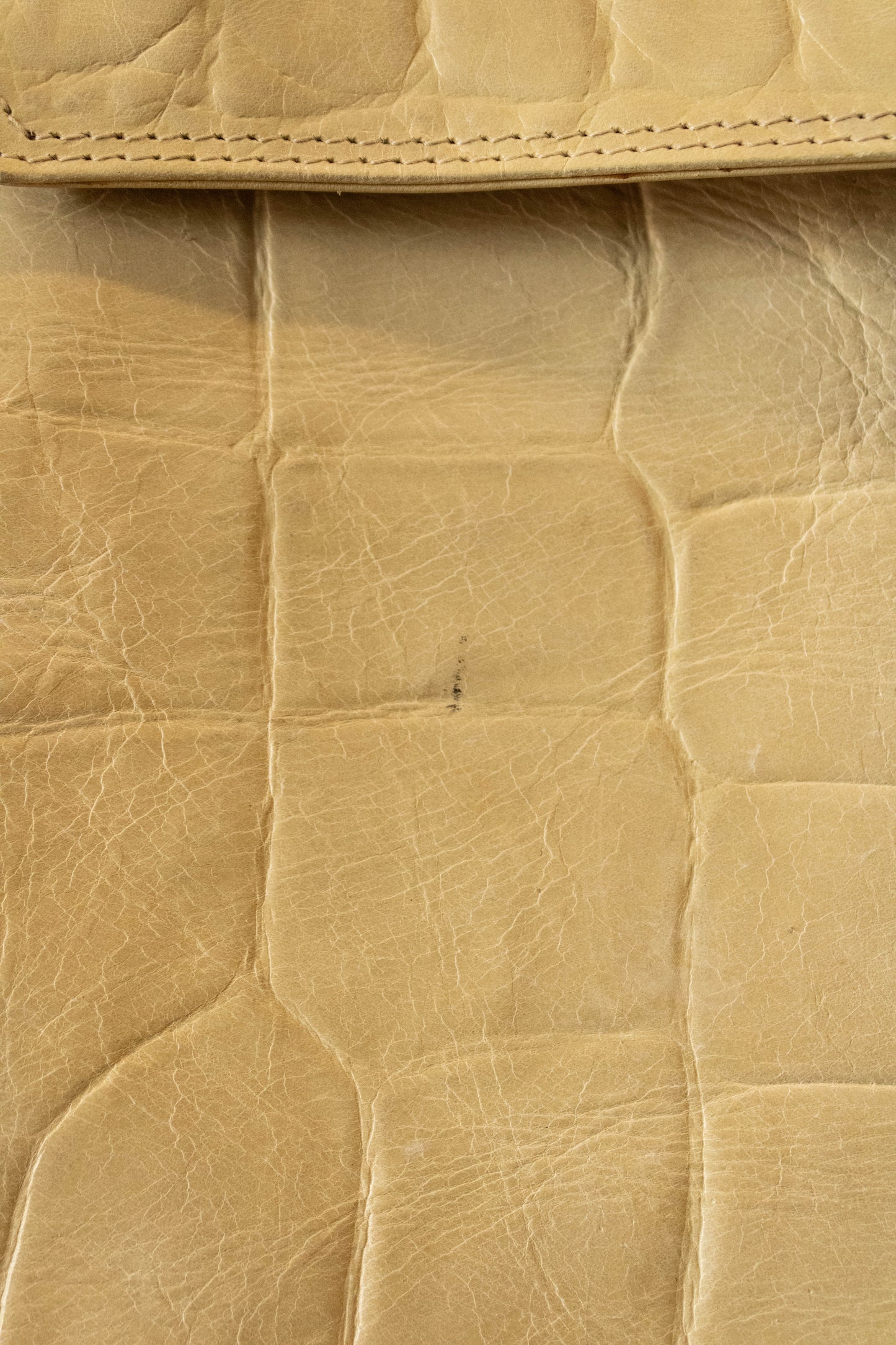 Tan Snakeskin Bag