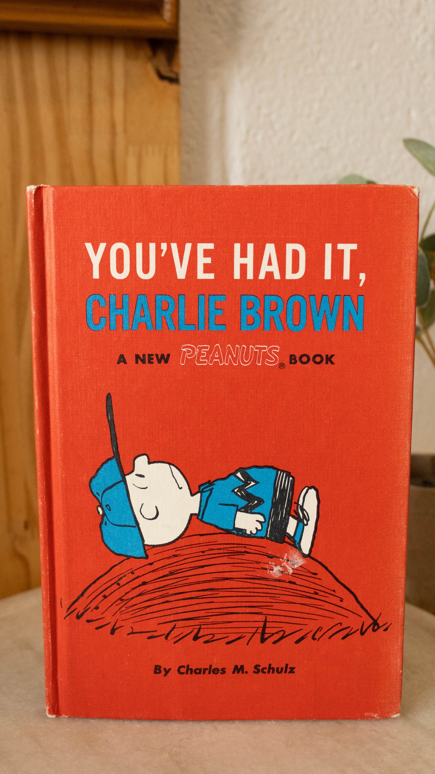 You've Had It Charlie Brown Book