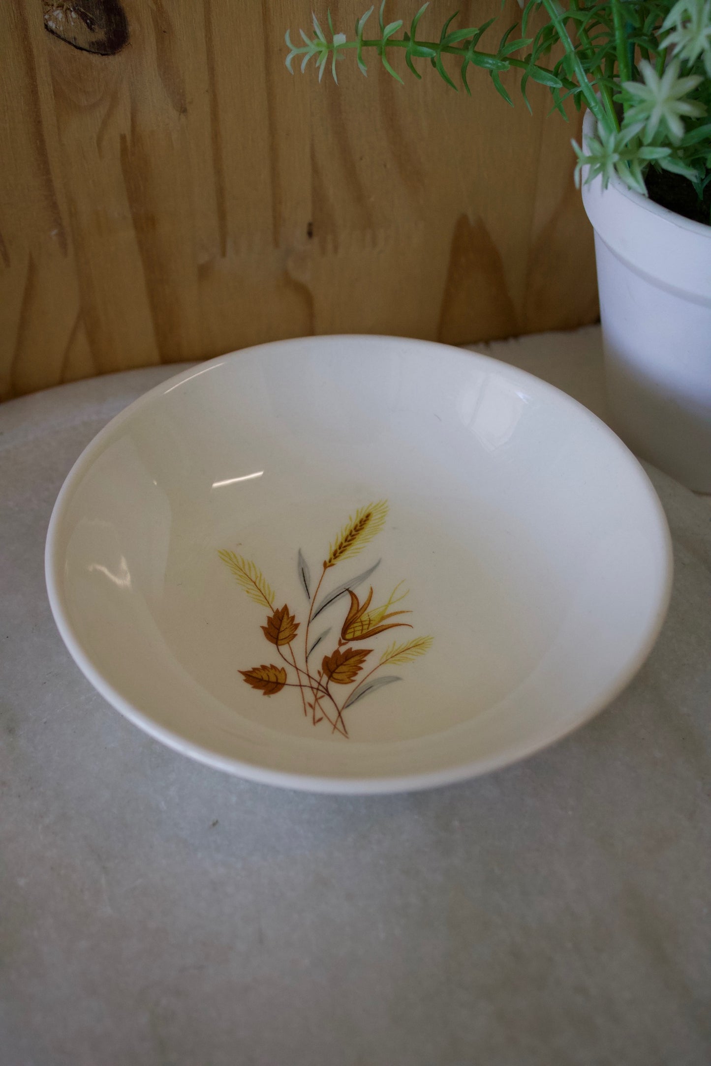Vtg Fall Saucer