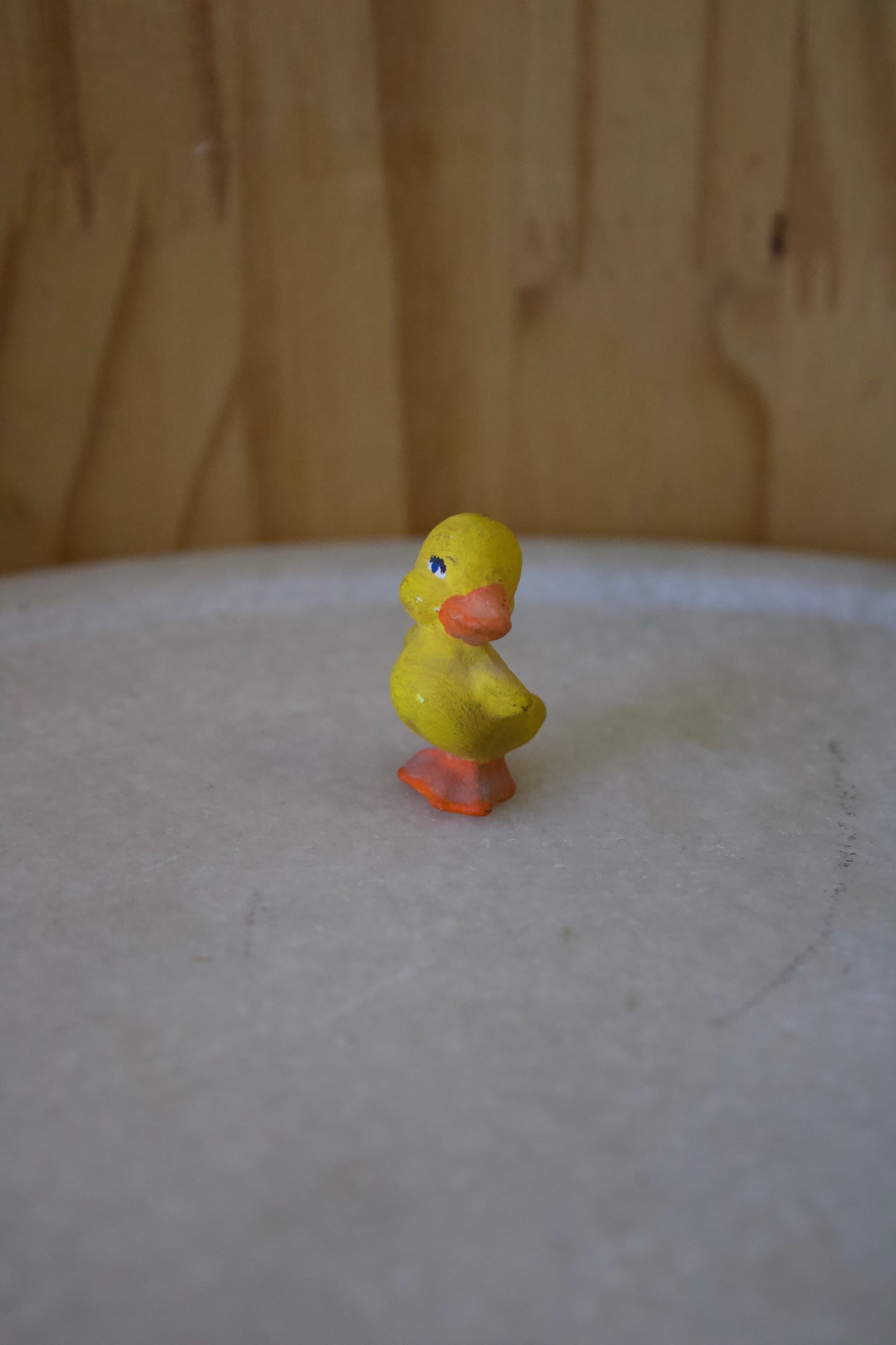 Tiny Duck