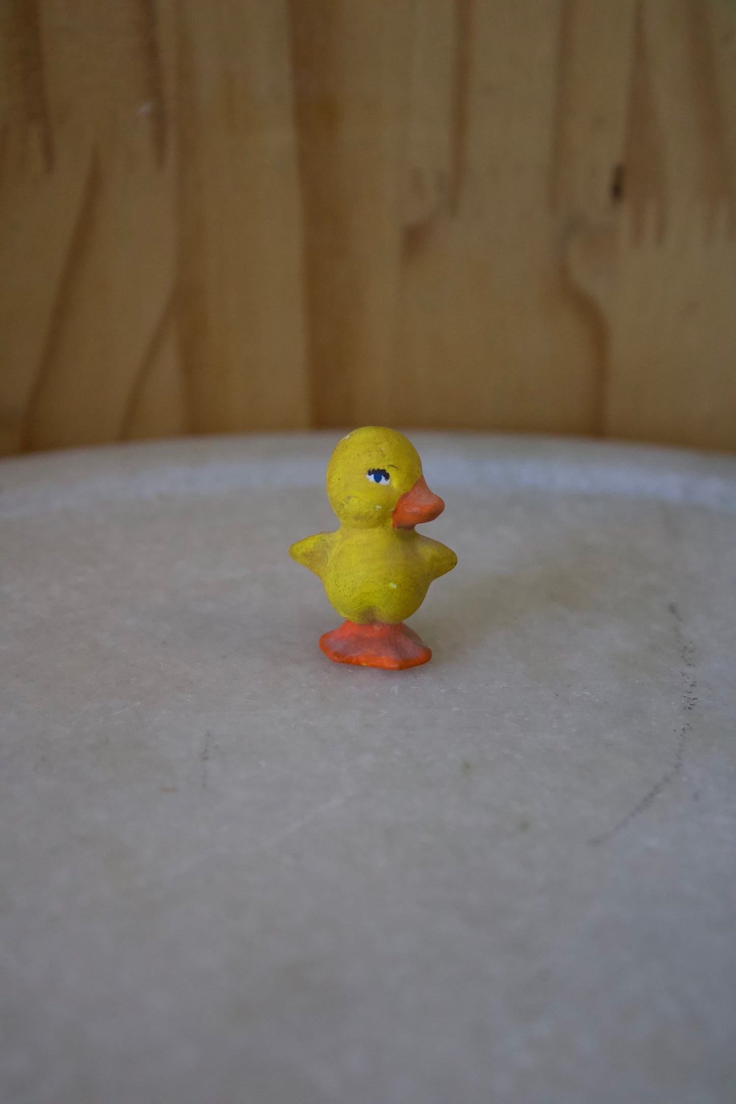 Tiny Duck