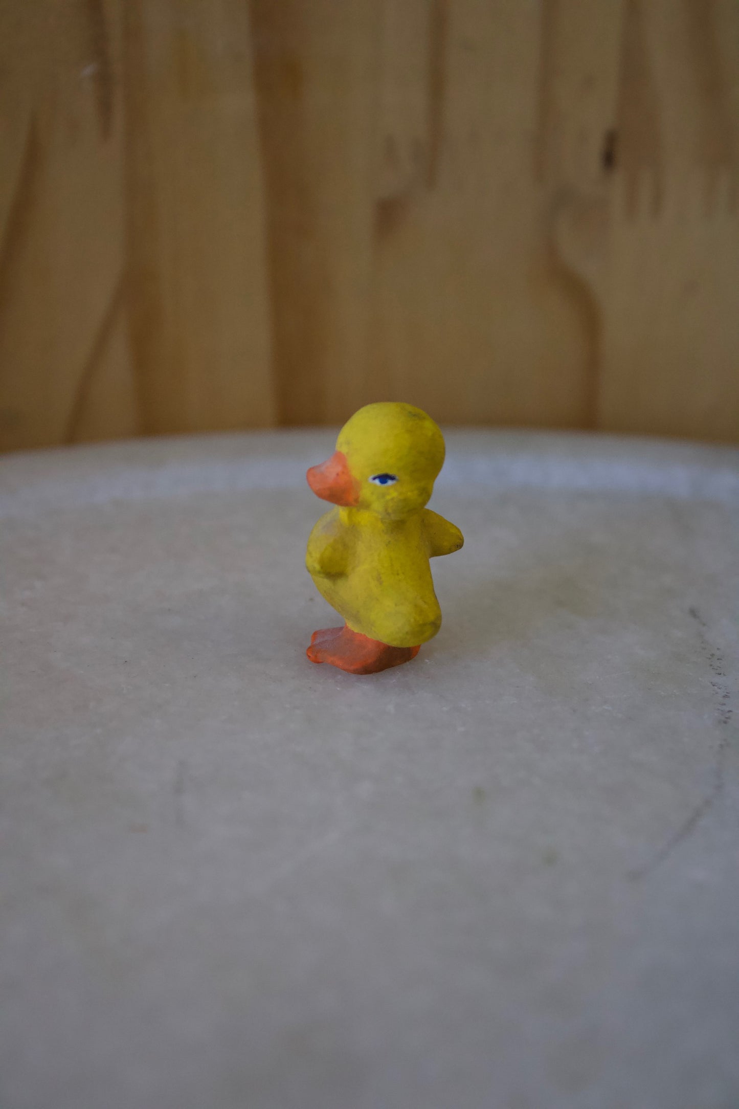 Tiny Duck