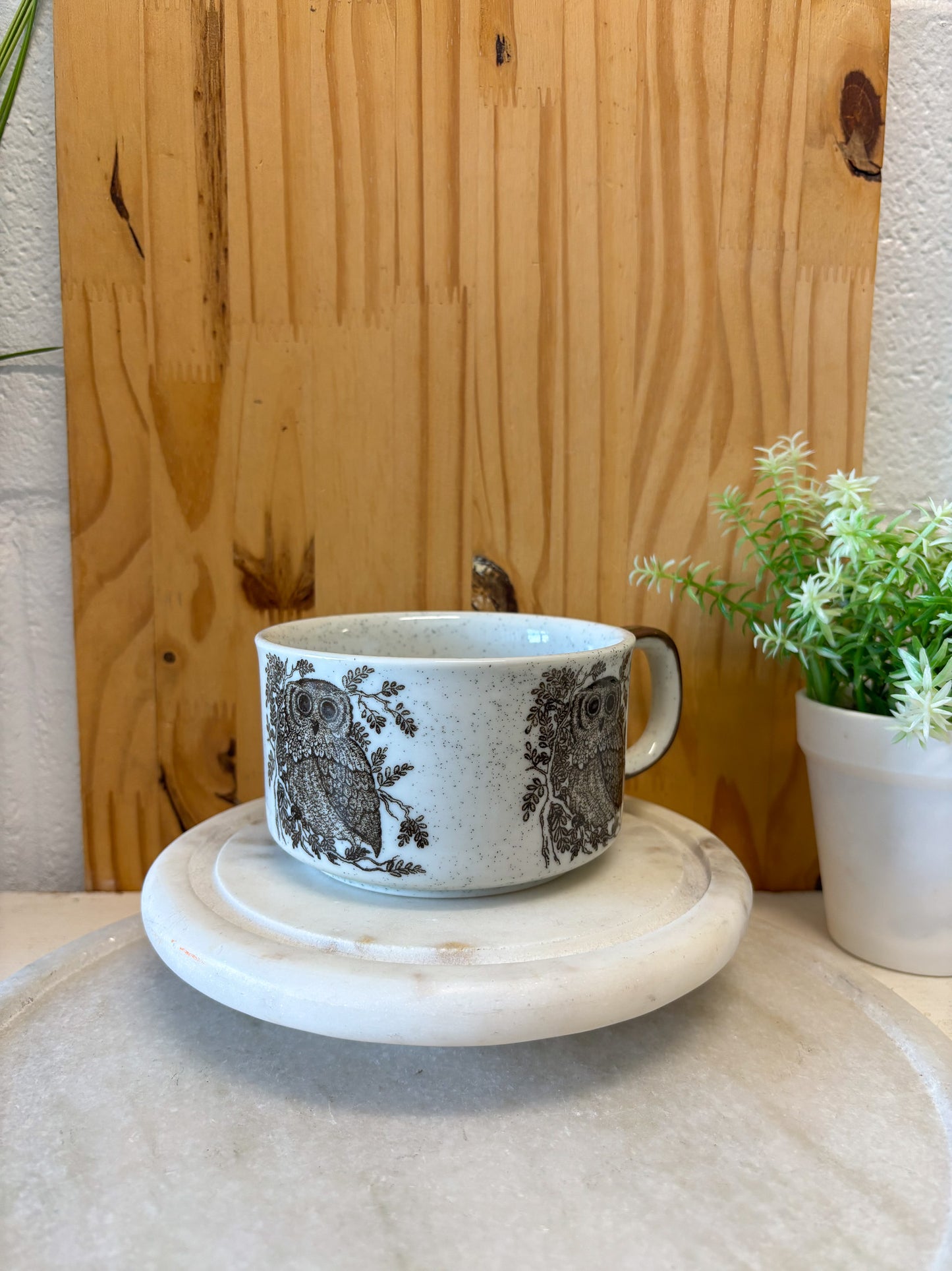 Owl Coffee Mug (Local Pick Up Only)