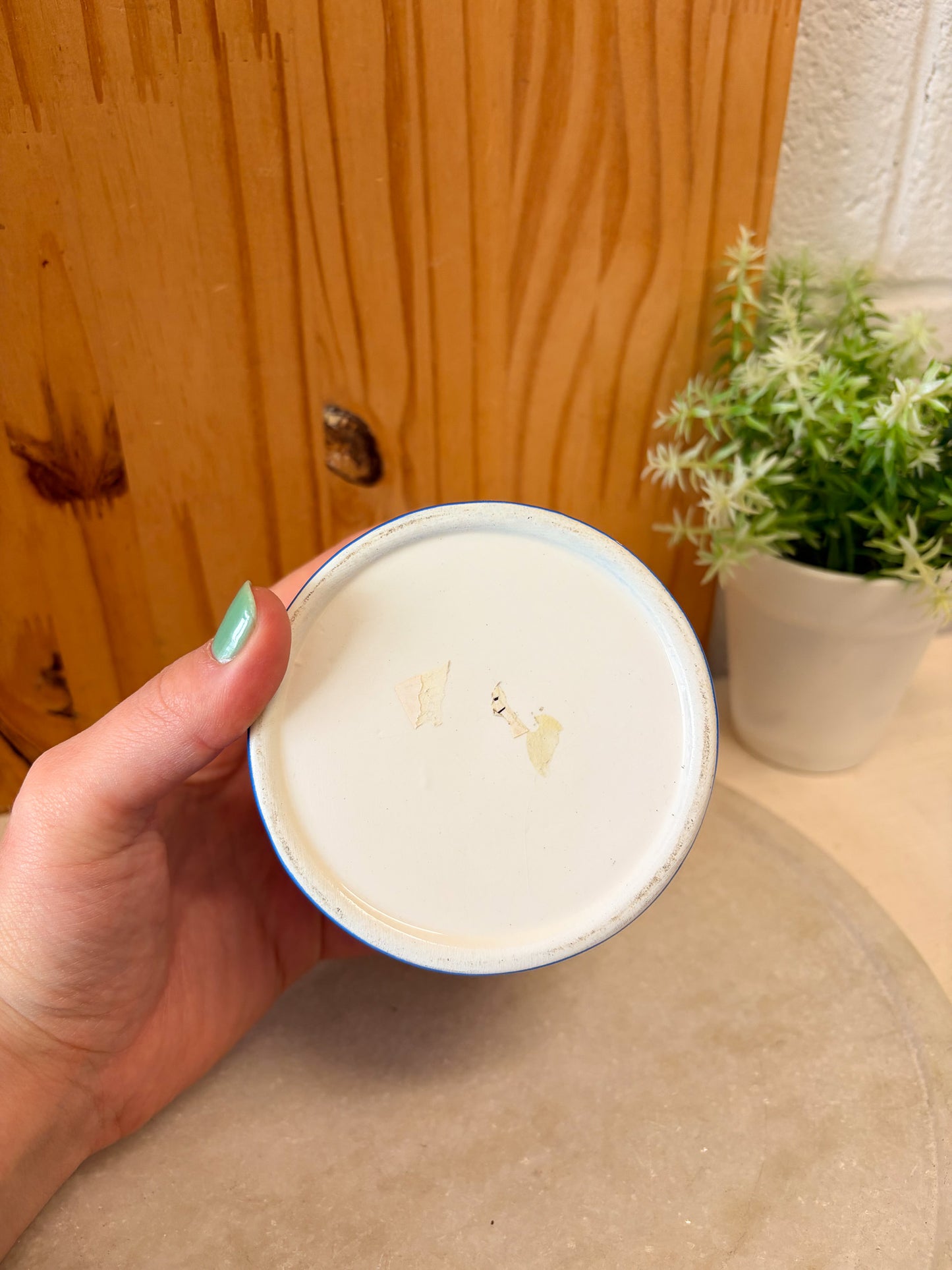 Little Blueberry Canister (Local Pick Up Only)