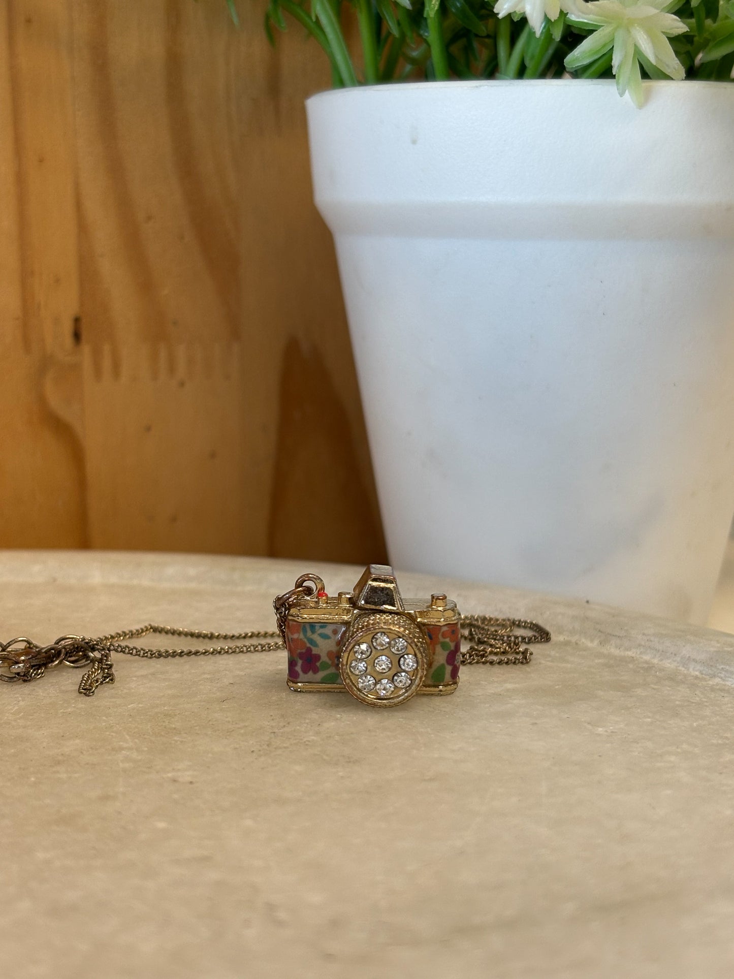 Camera Necklace