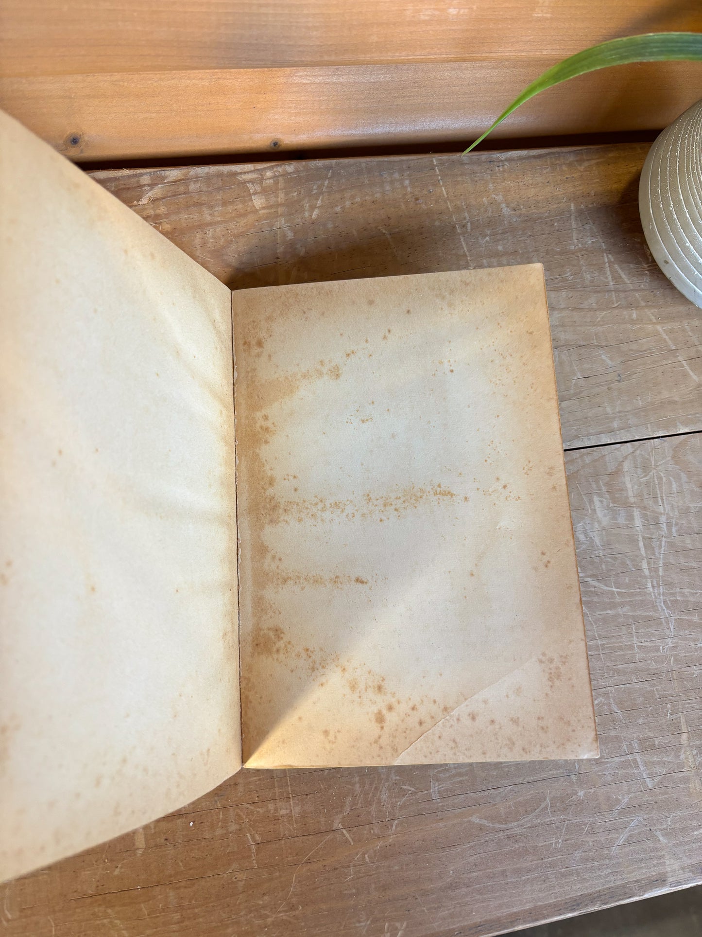 Vtg Striped Ice Cream Paperback Book