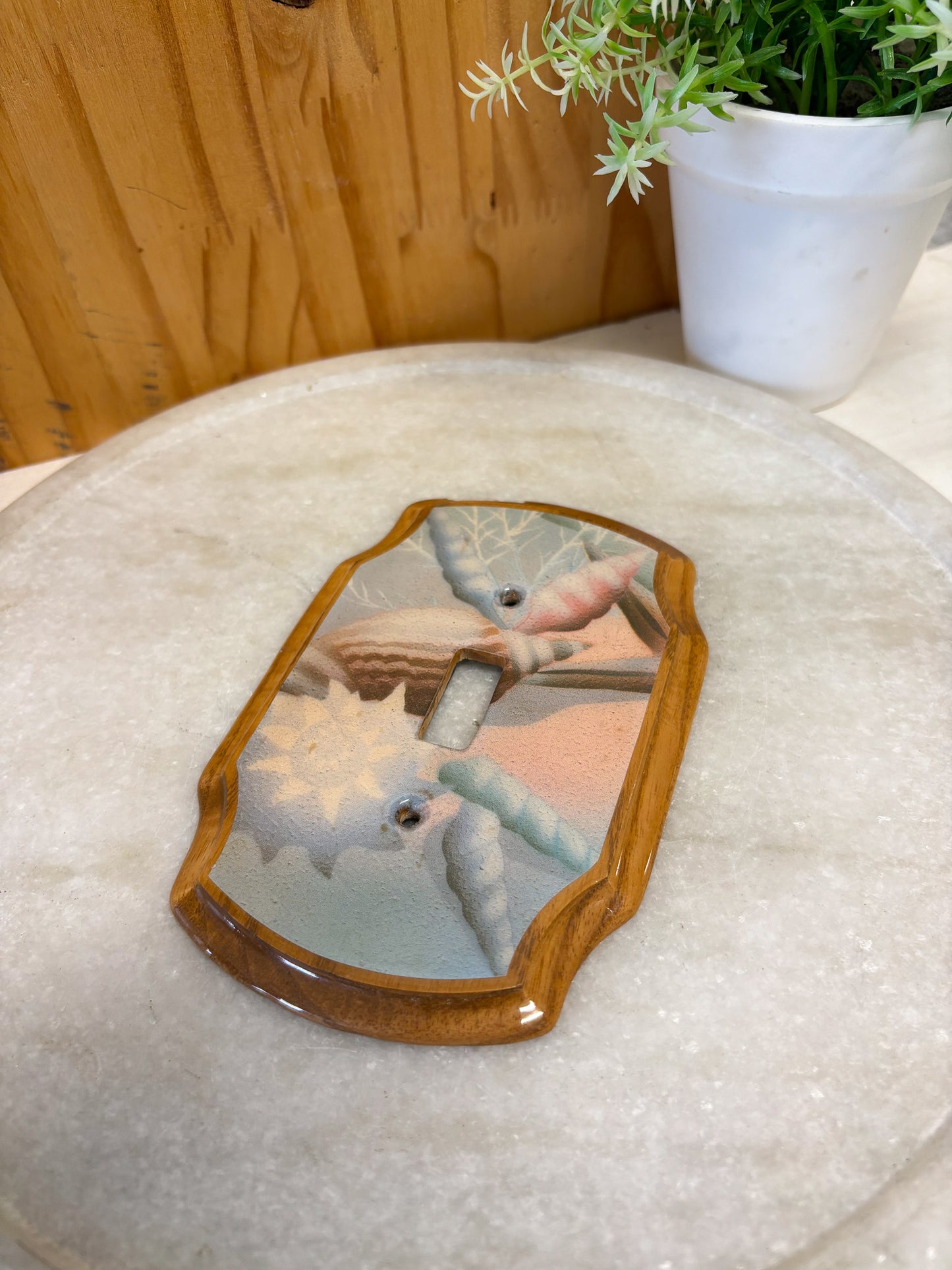 Vtg Coastal Light Switch Cover