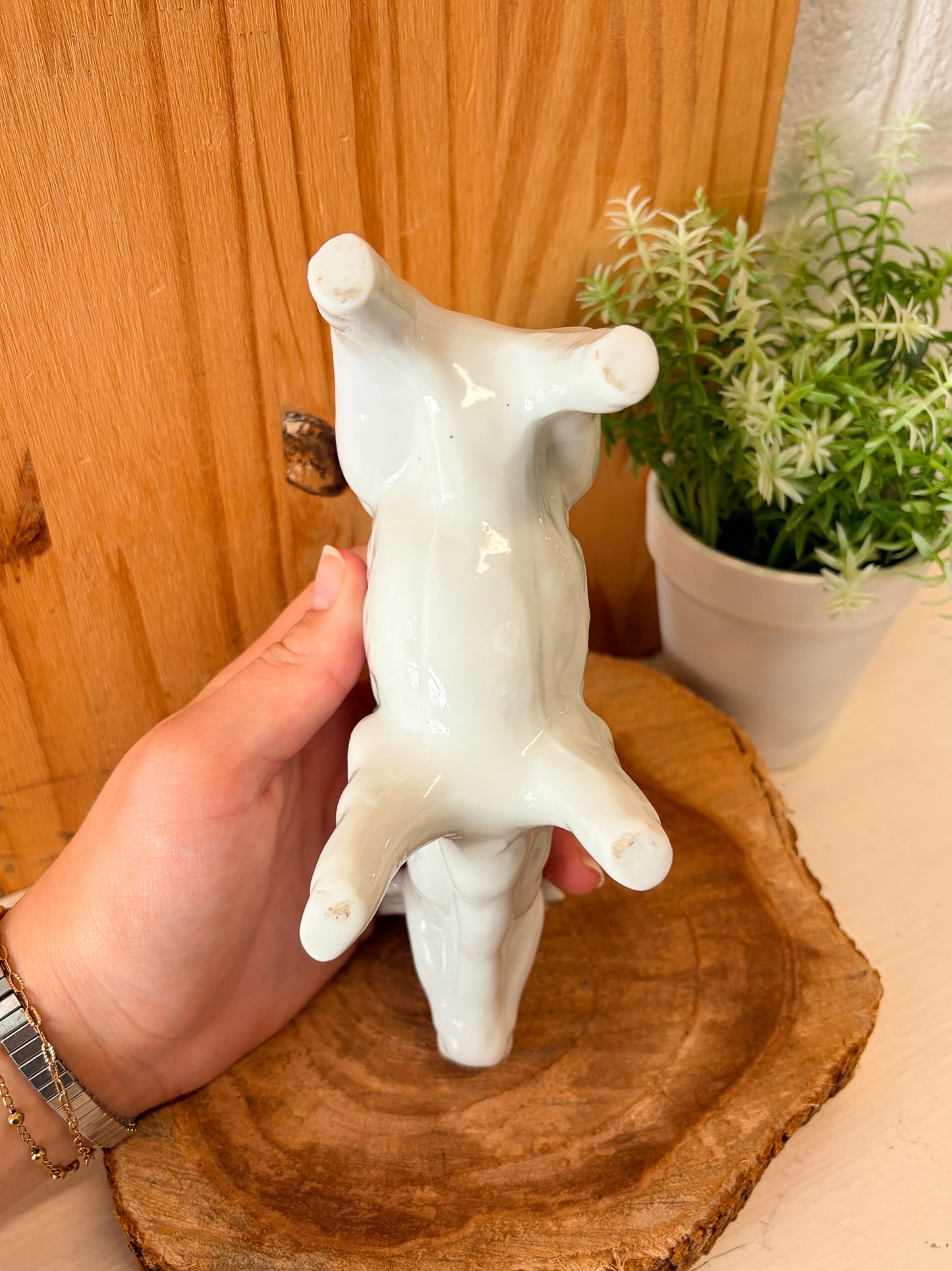 Cow Creamer Dish (Local Pick Up Only)