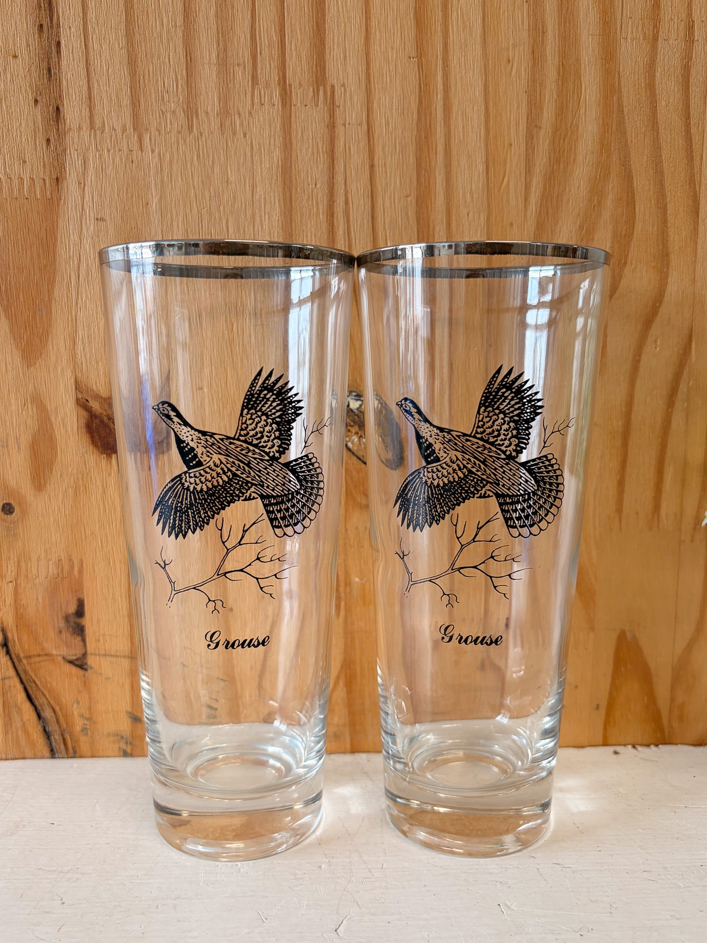 Vtg Set of 8 Wild Bird Highball Glasses (Local Pick Up Only)