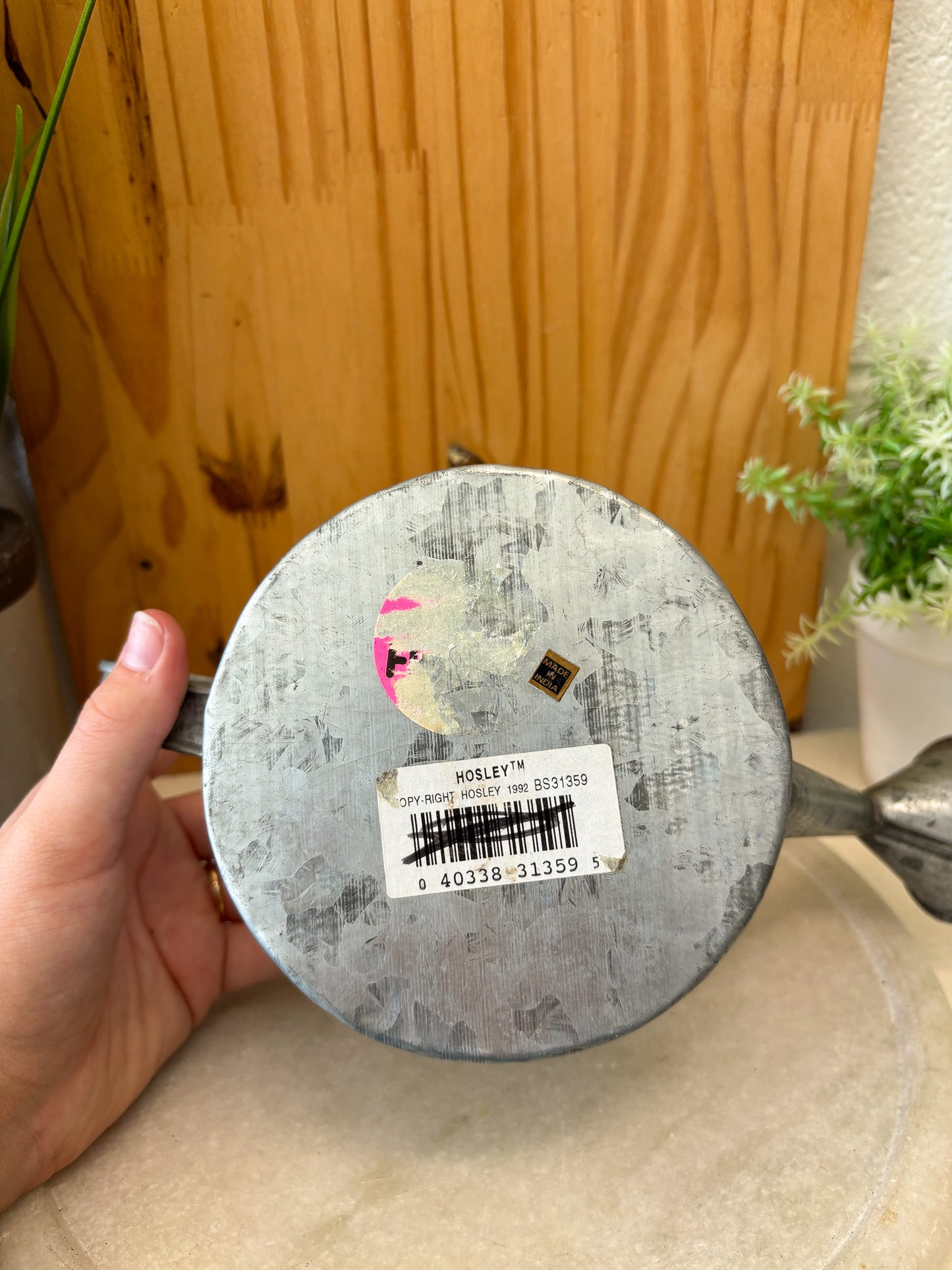 Little Rustic Watering Can