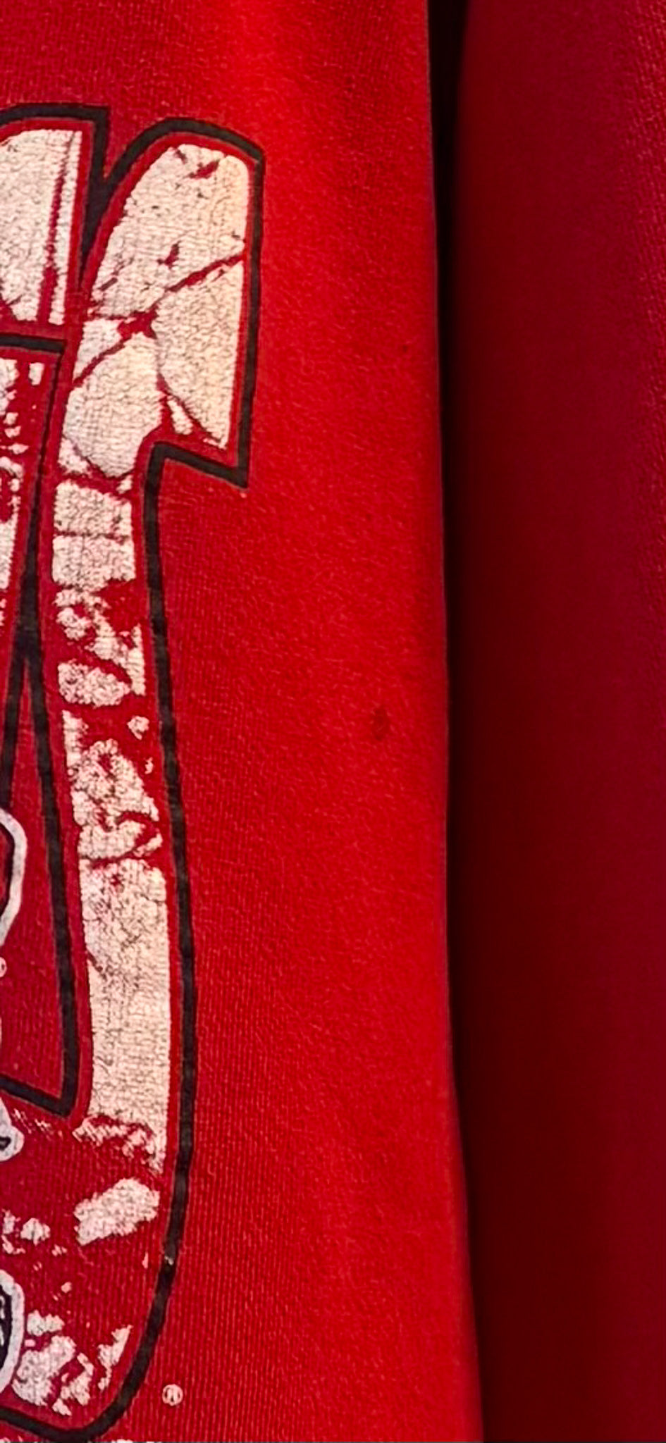 Vtg Arkansas Crewneck : L/XL