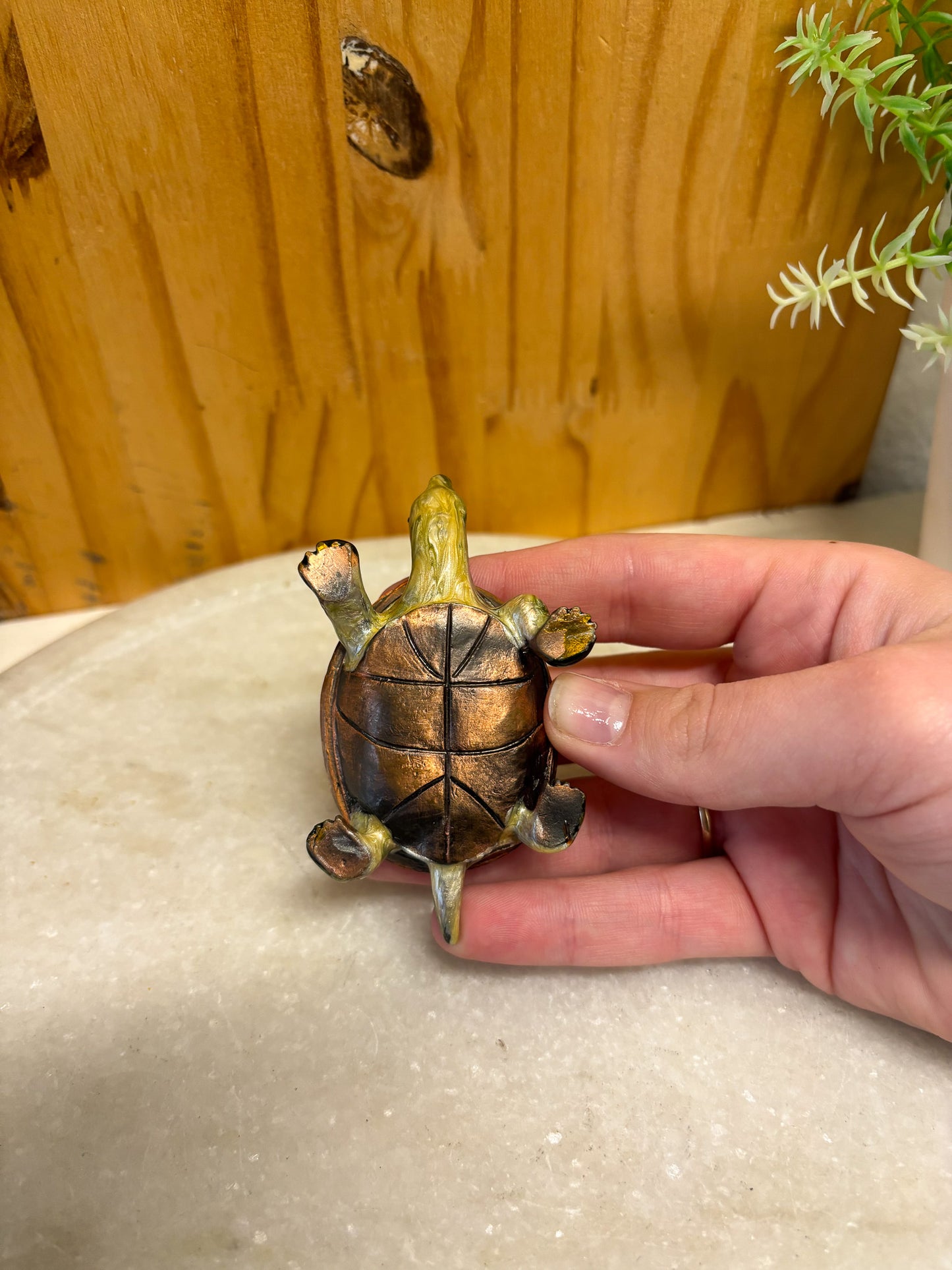 Little Turtle Trinket Box