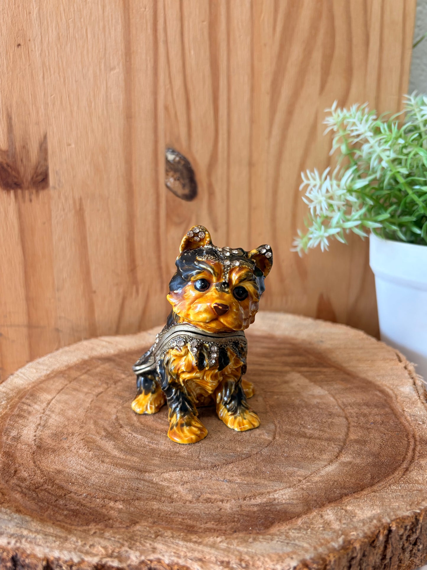 Hinged Metal Yorkie Trinket Case