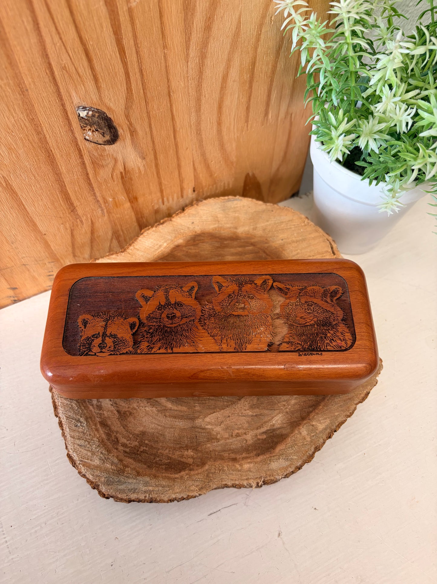 Raccoon Carved Wooden Case