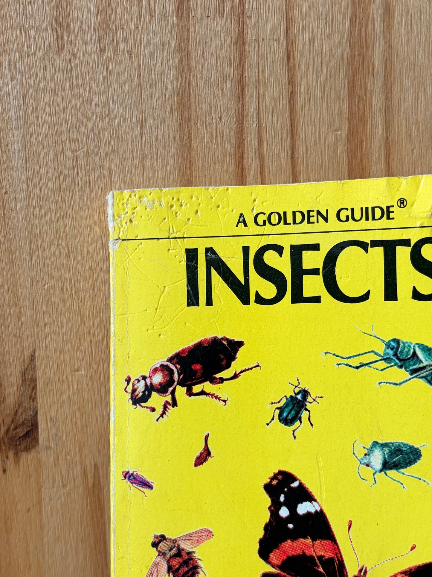 Vtg Golden Guide Insects Book