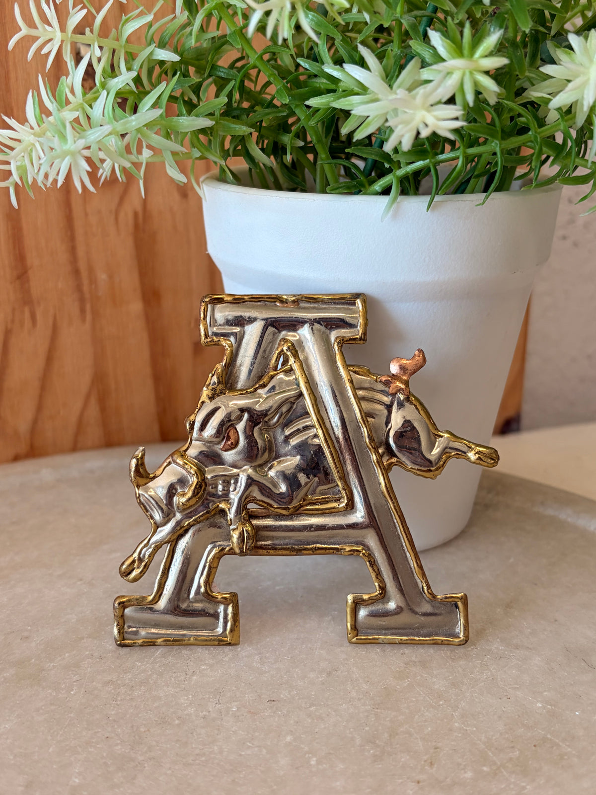 Vtg Arkansas Razorbacks Pin