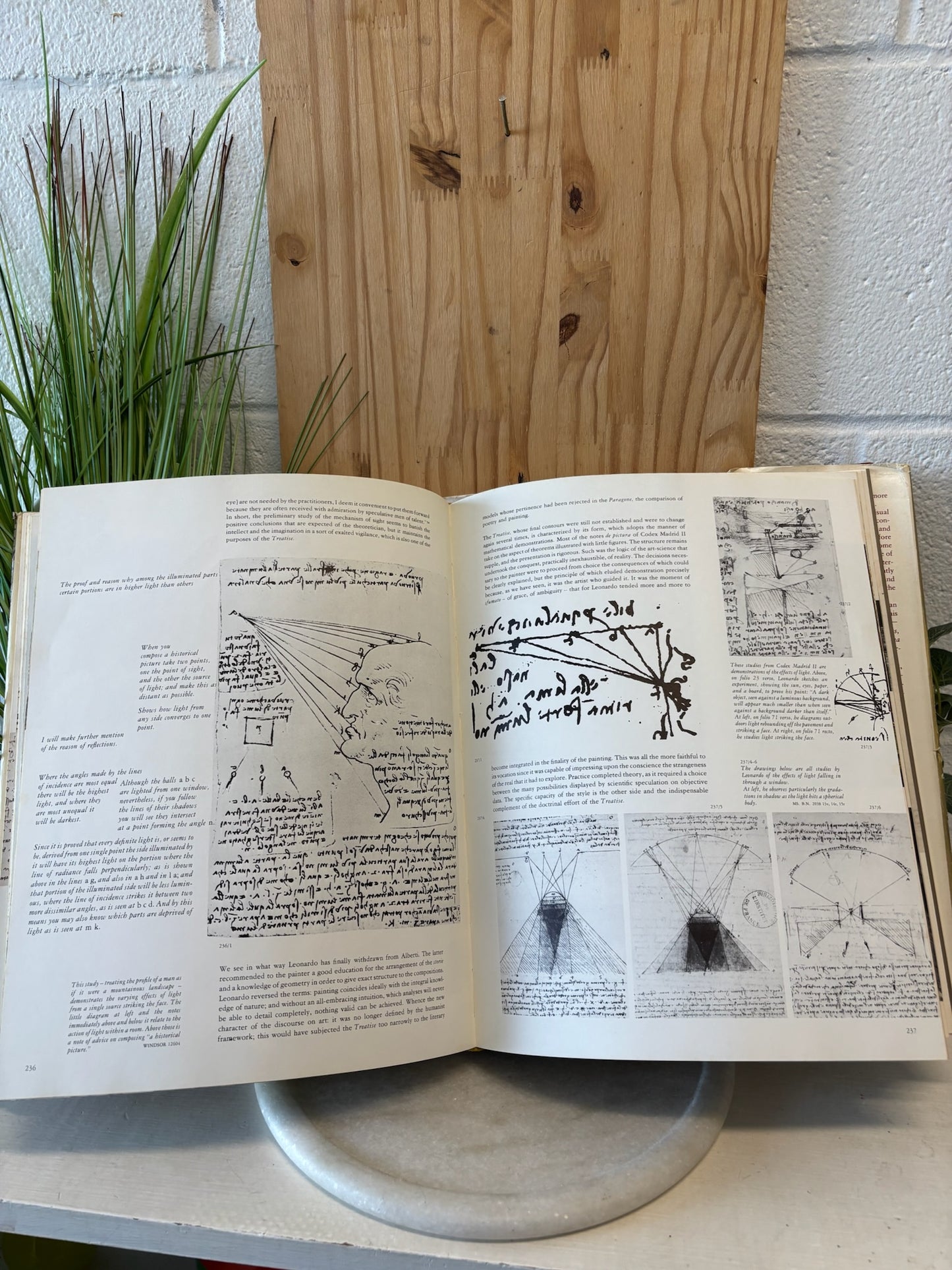 Leonardo da Vinci Coffee Table Book