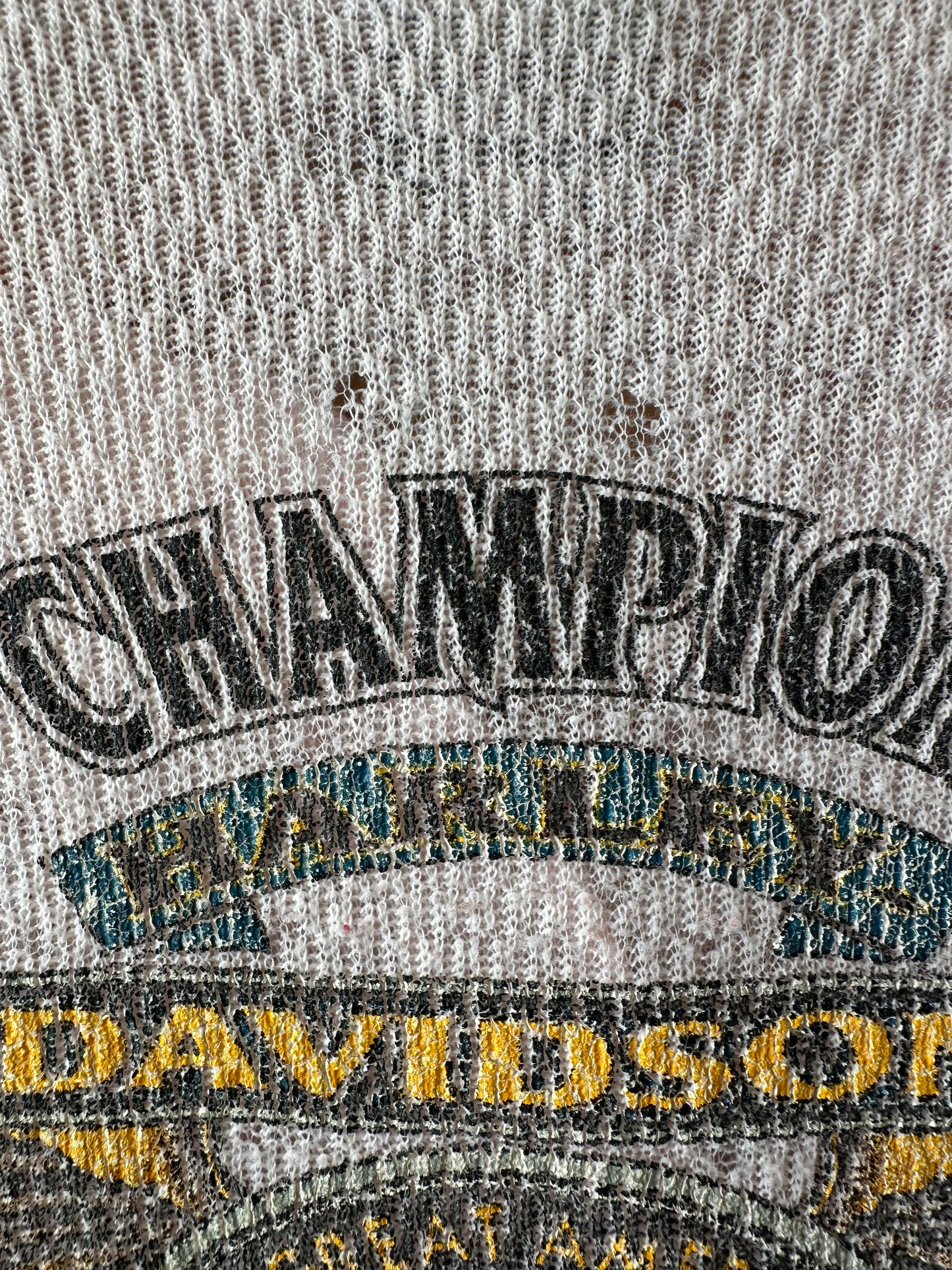 Vtg Baby Pink Harley Thermal : L
