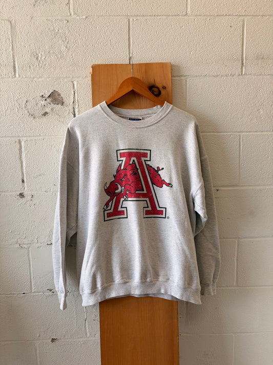 Vtg Arkansas Crewneck : L