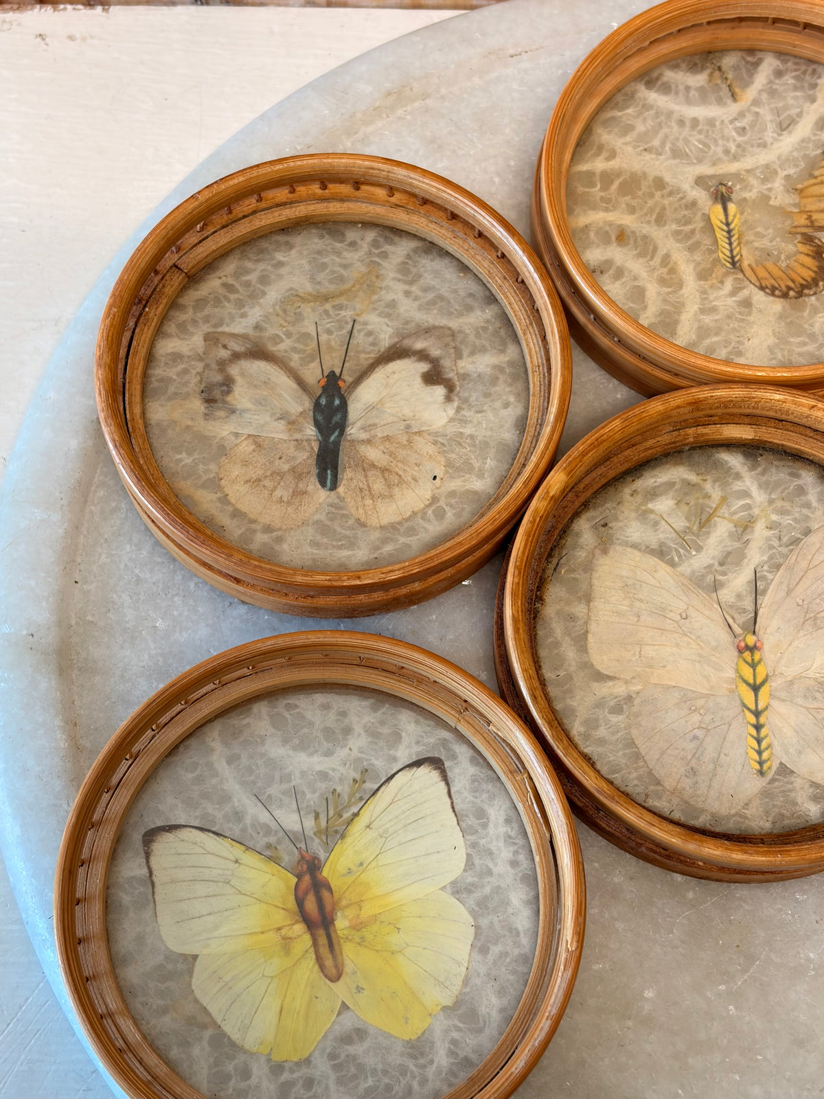 Vtg Butterfly Bamboo Coasters & Serving Tray Set (Local Pick Up Only - As Is)