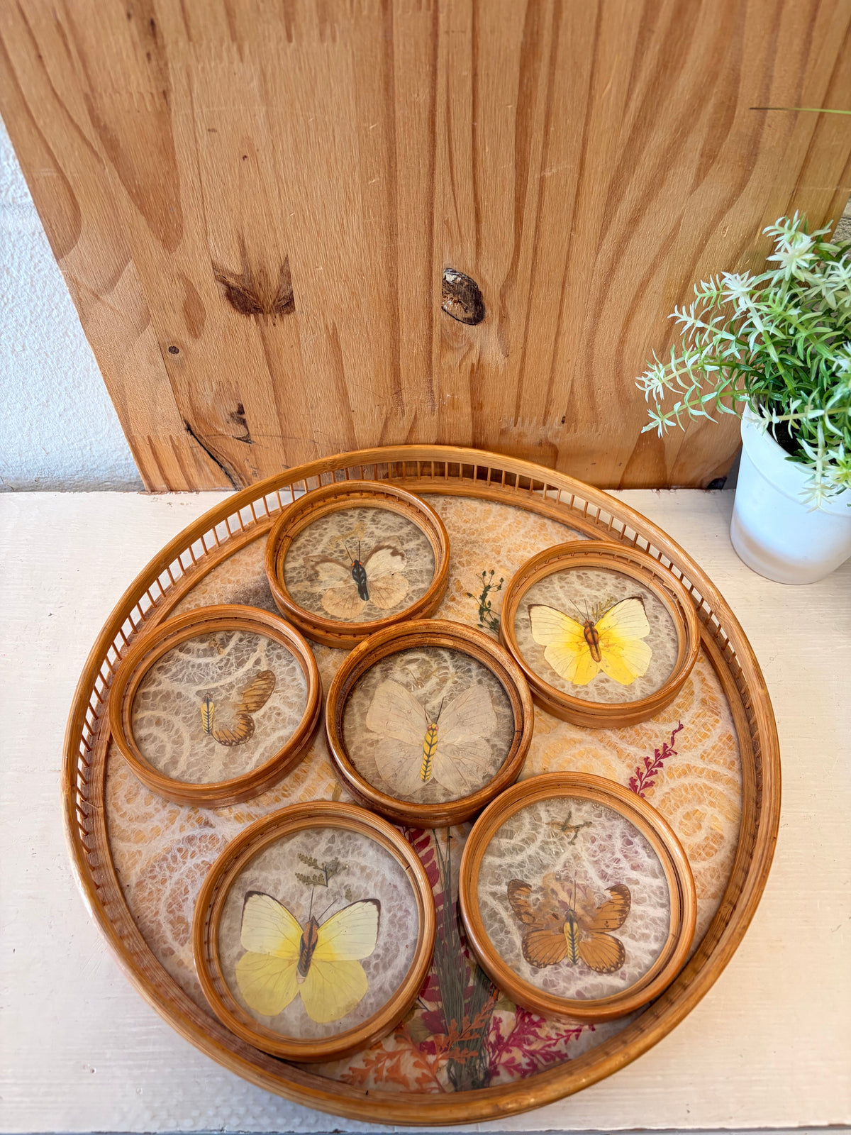 Vtg Butterfly Bamboo Coasters & Serving Tray Set (Local Pick Up Only - As Is)