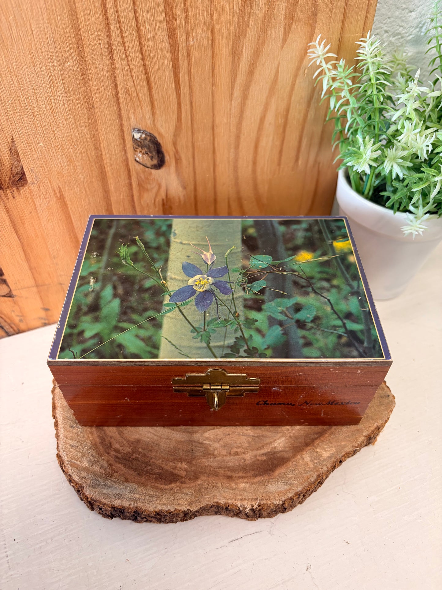 Vtg Wooden New Mexico Keepsake Box