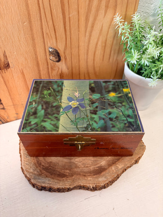 Vtg Wooden New Mexico Keepsake Box