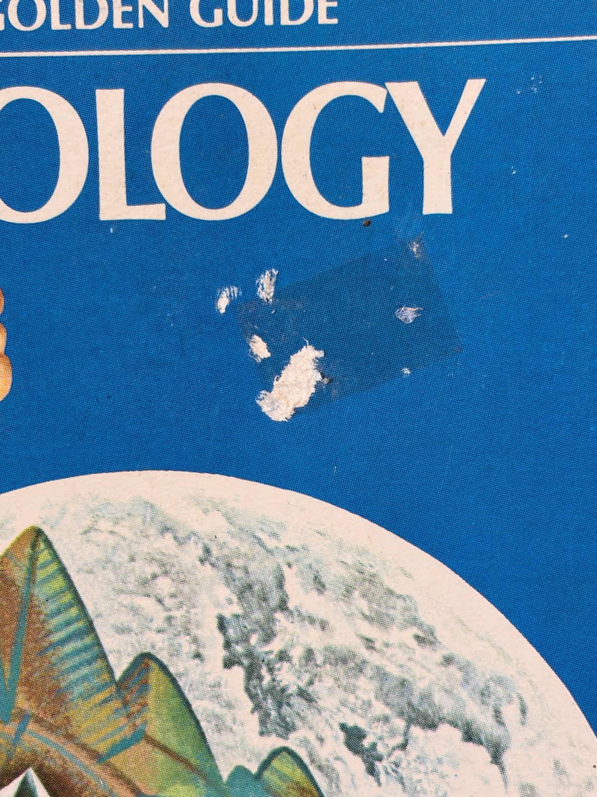 Vtg Little Golden Guide Geology Book