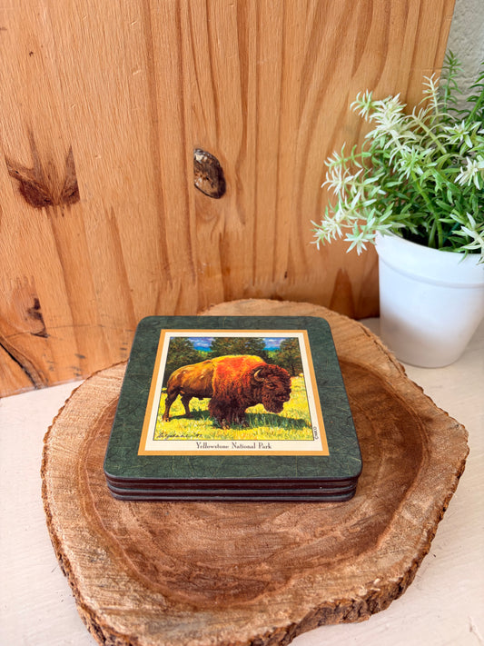 Yellowstone Park Coaster Set