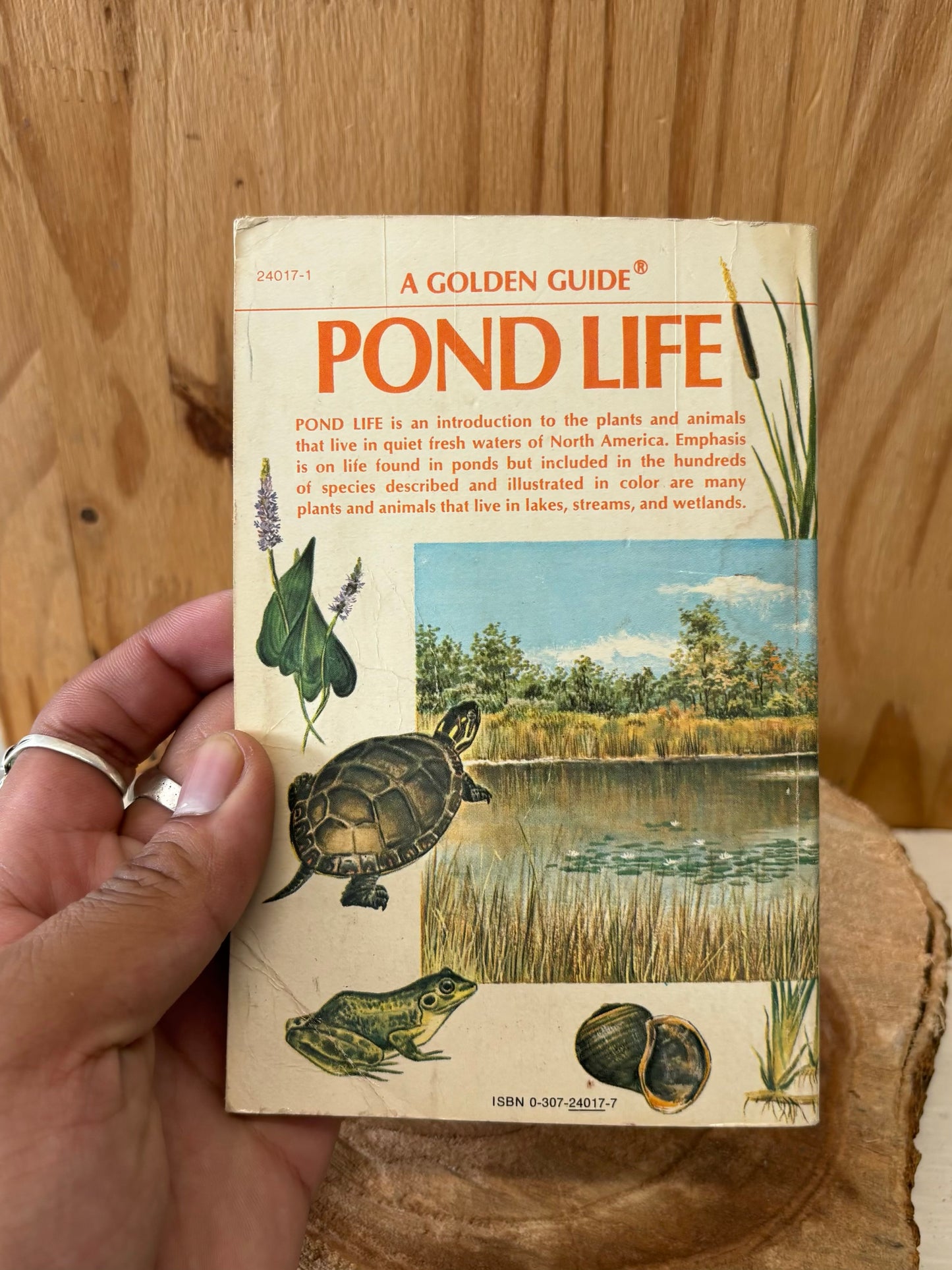 Pond Life Book