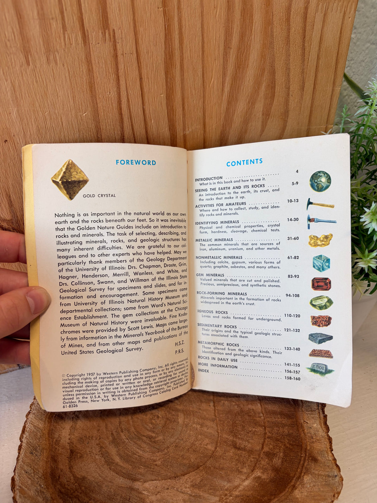 Vtg Little Rocks & Minerals Guide