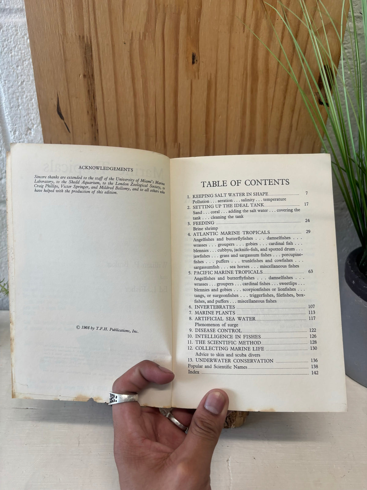 Vtg Fish Book (As Is)