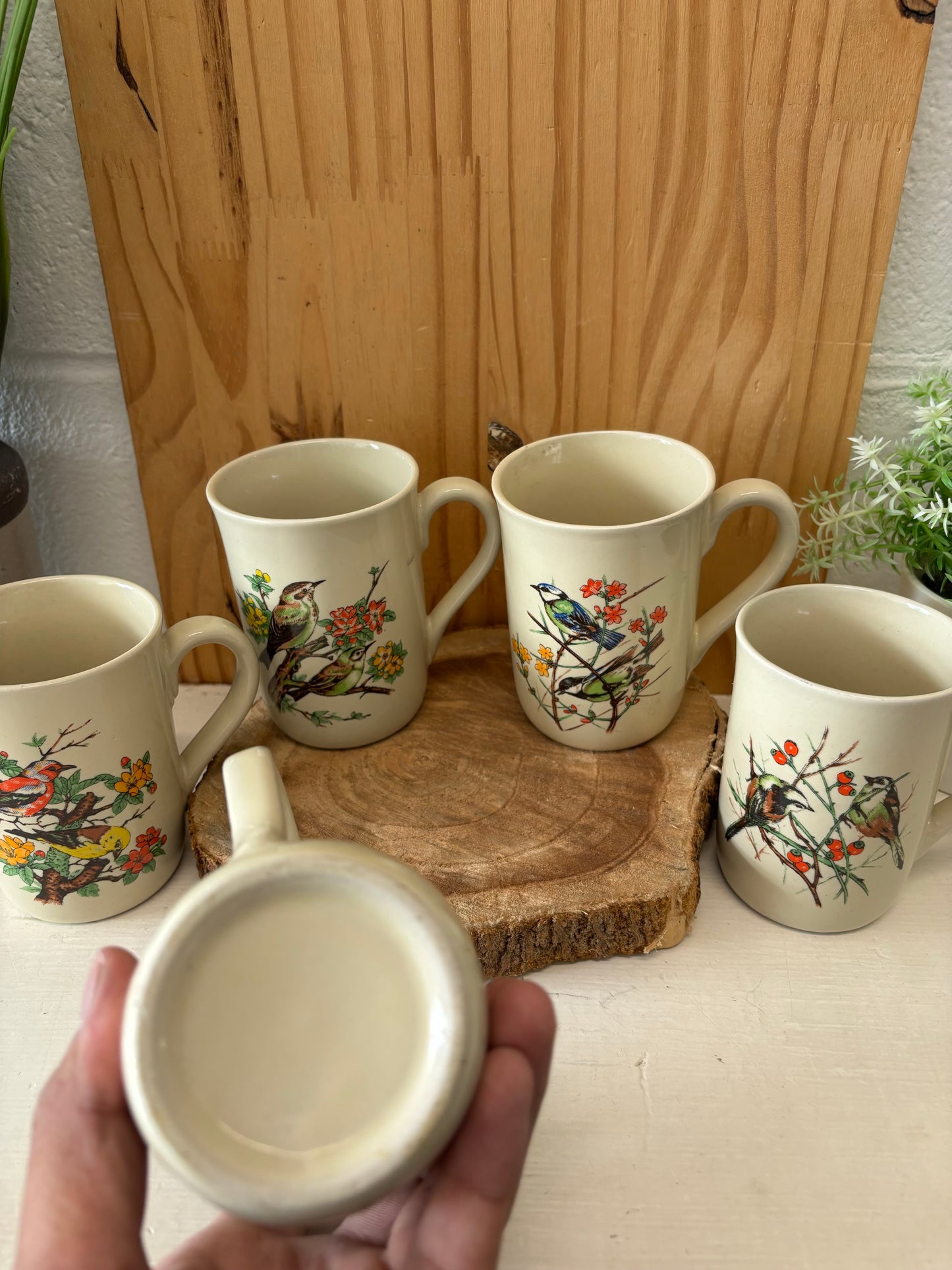 Vtg Set of 5 Bird Mugs (Local Pickup Only)
