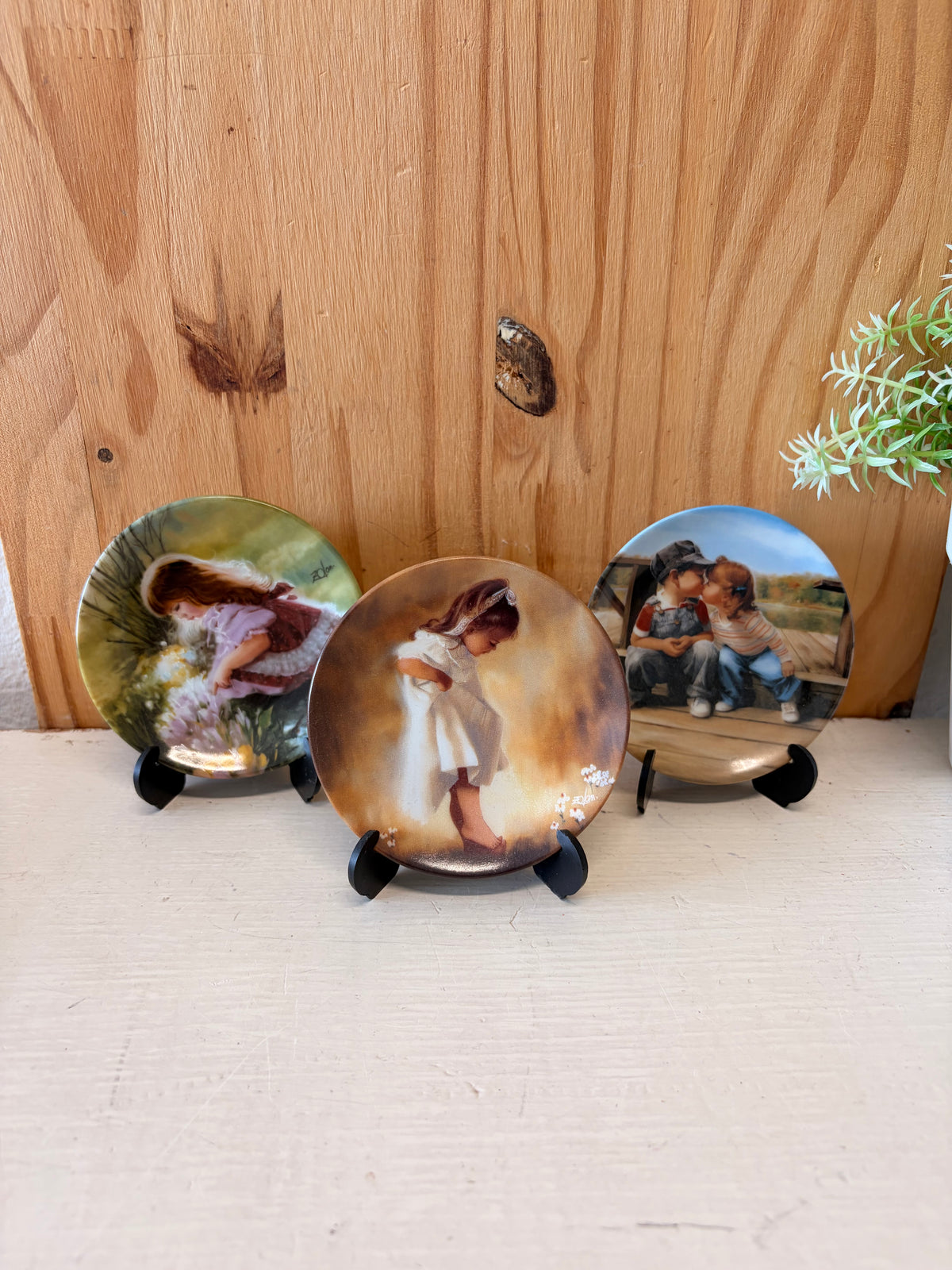 Donald Zolan Mini Plate Trio (Local Pick Up Only)