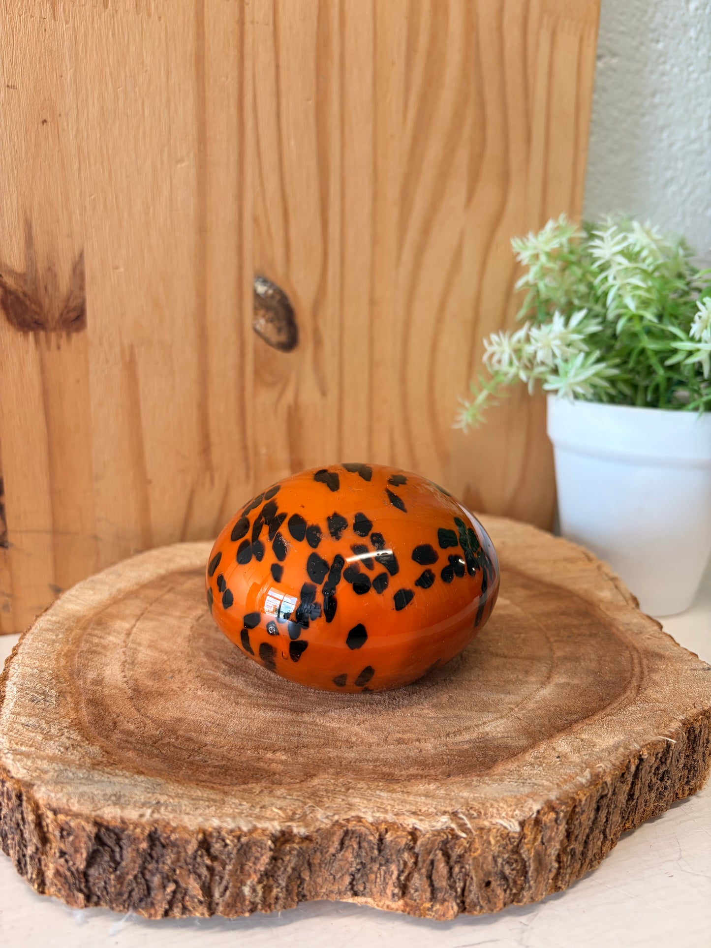 Glass Dome Paperweight (Local Pick Up Only)