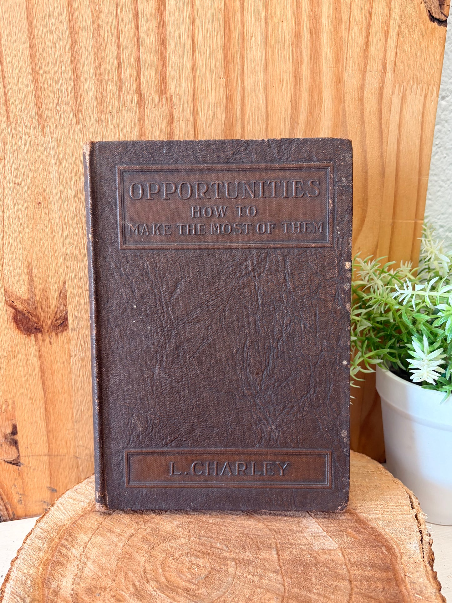 Vtg Opportunities Book