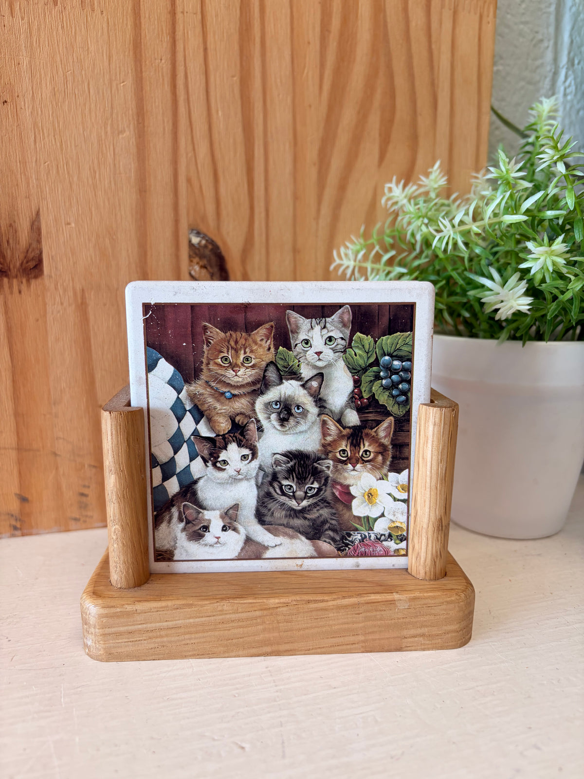 Vtg Cat Coaster Set (Local Pick Up Only)