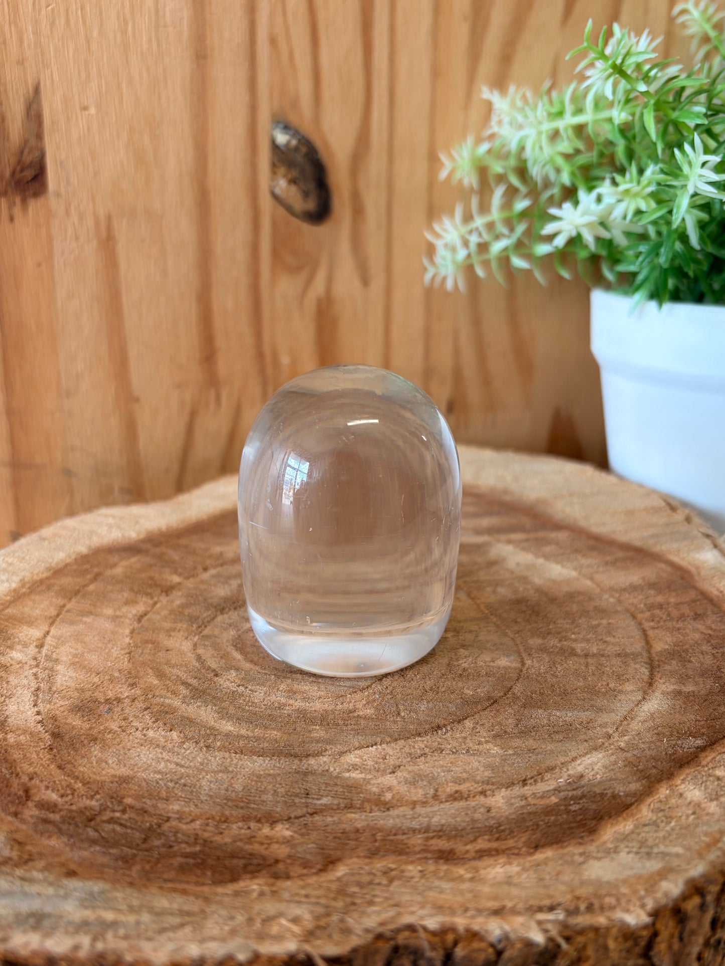Little Clear Plastic Owl Figurine