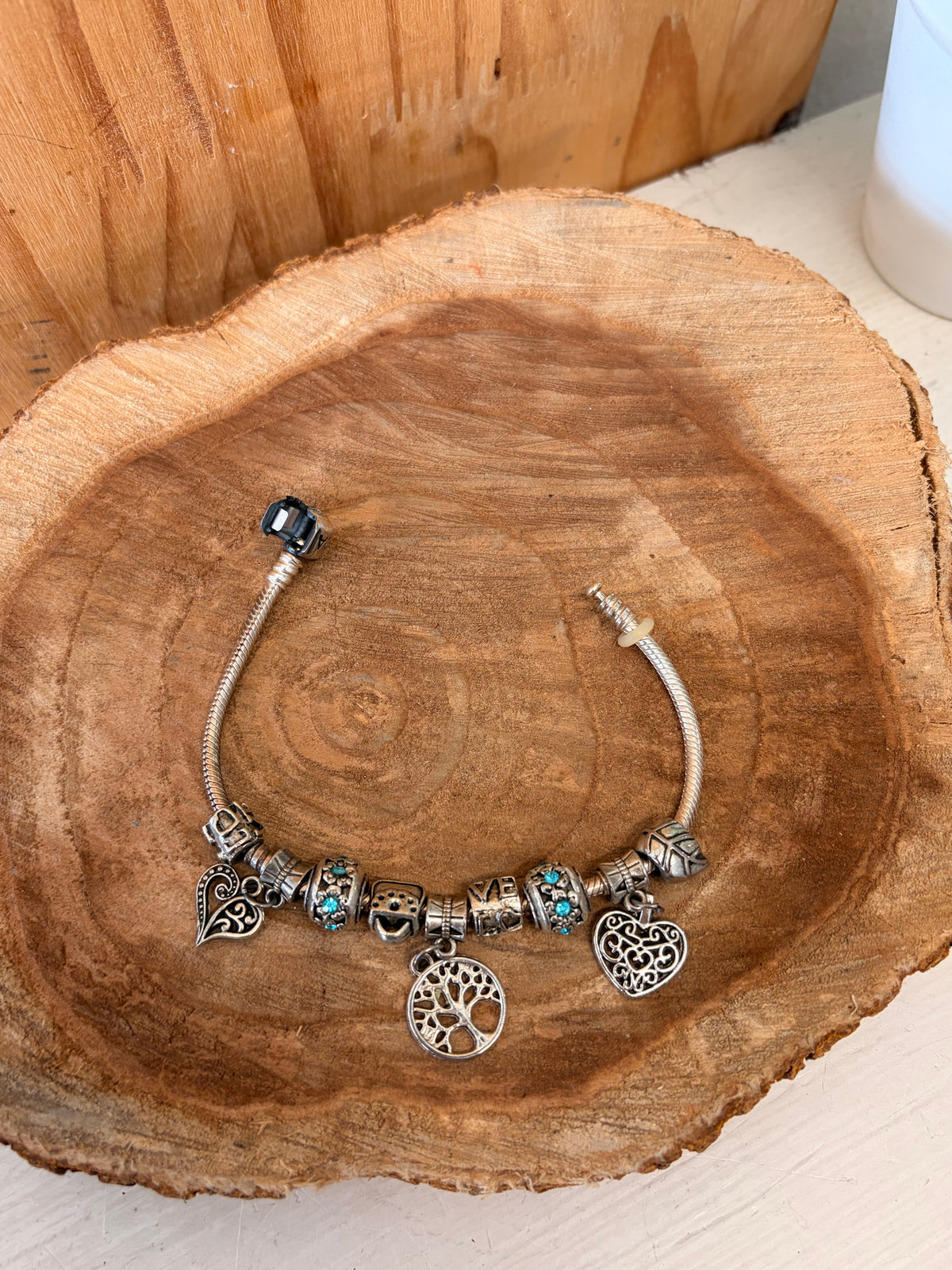 Pandora Charm Bracelet
