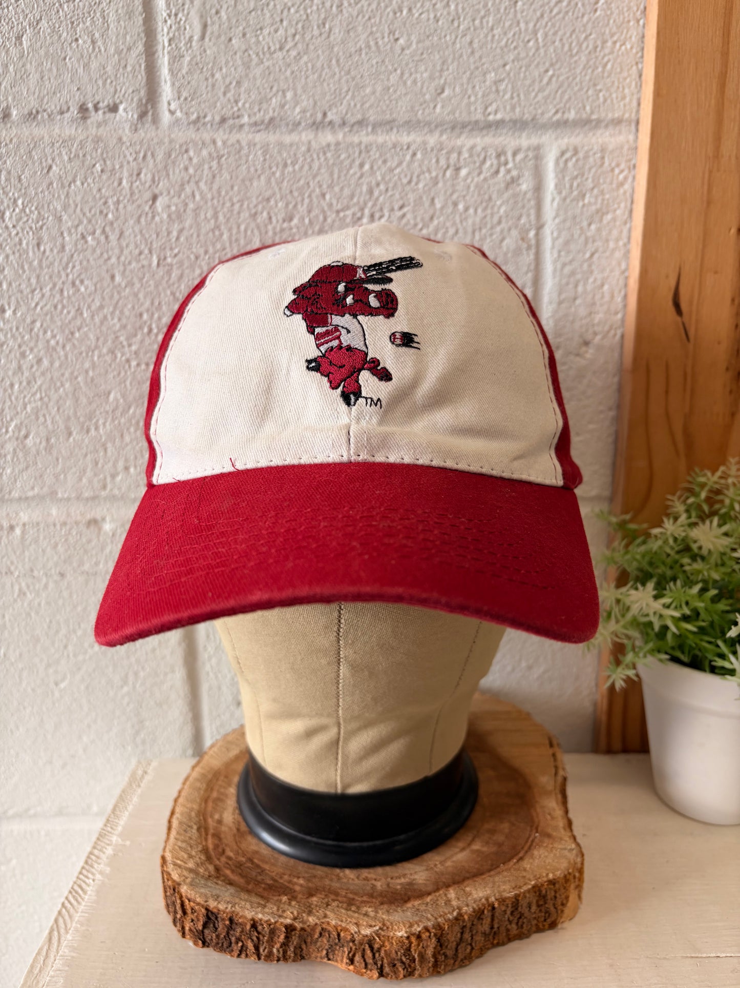 Vtg Razorbacks Baseball Cap
