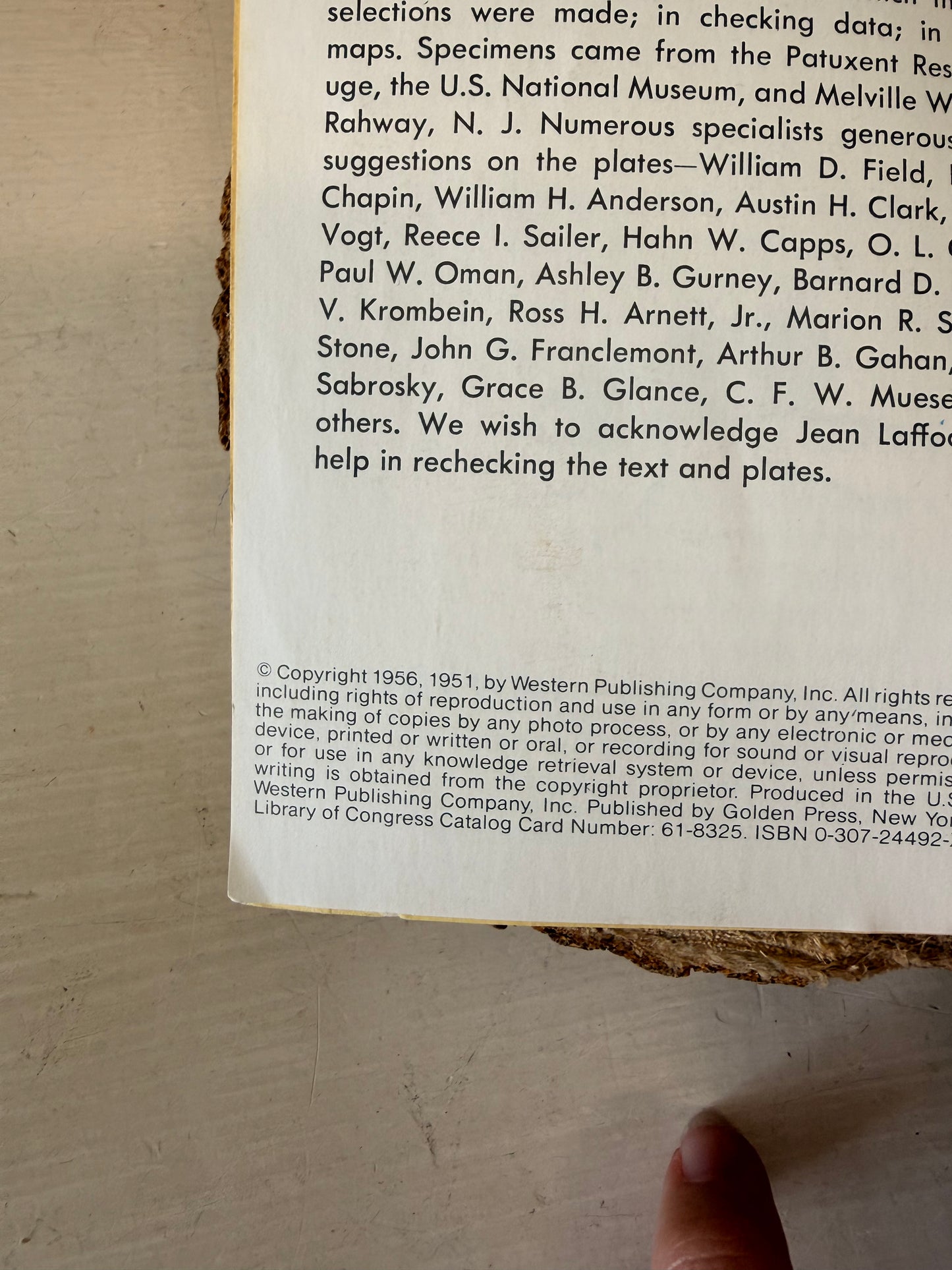 Vtg Golden Guide Insects Book